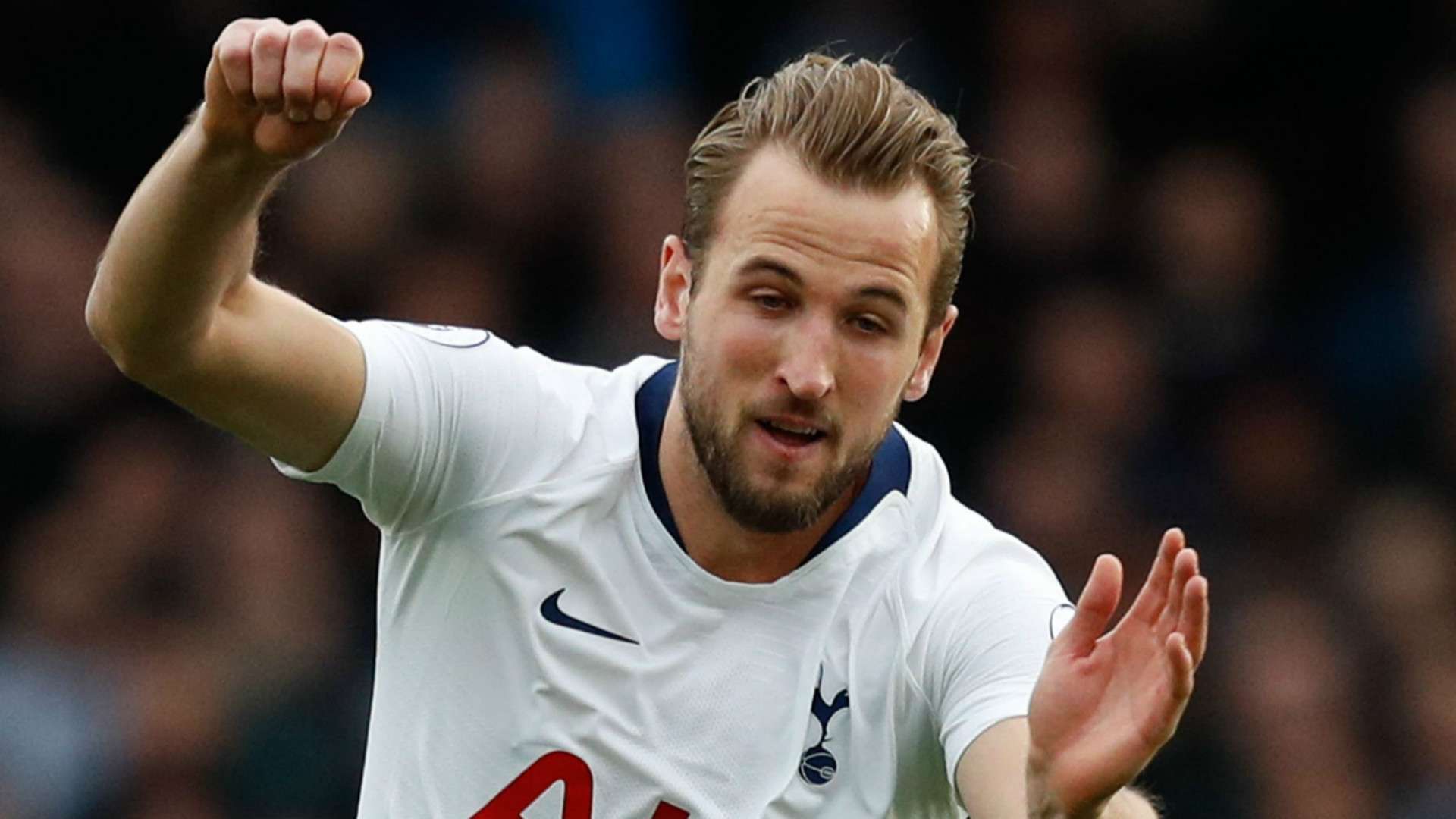 Harry Kane Tottenham 2018-19