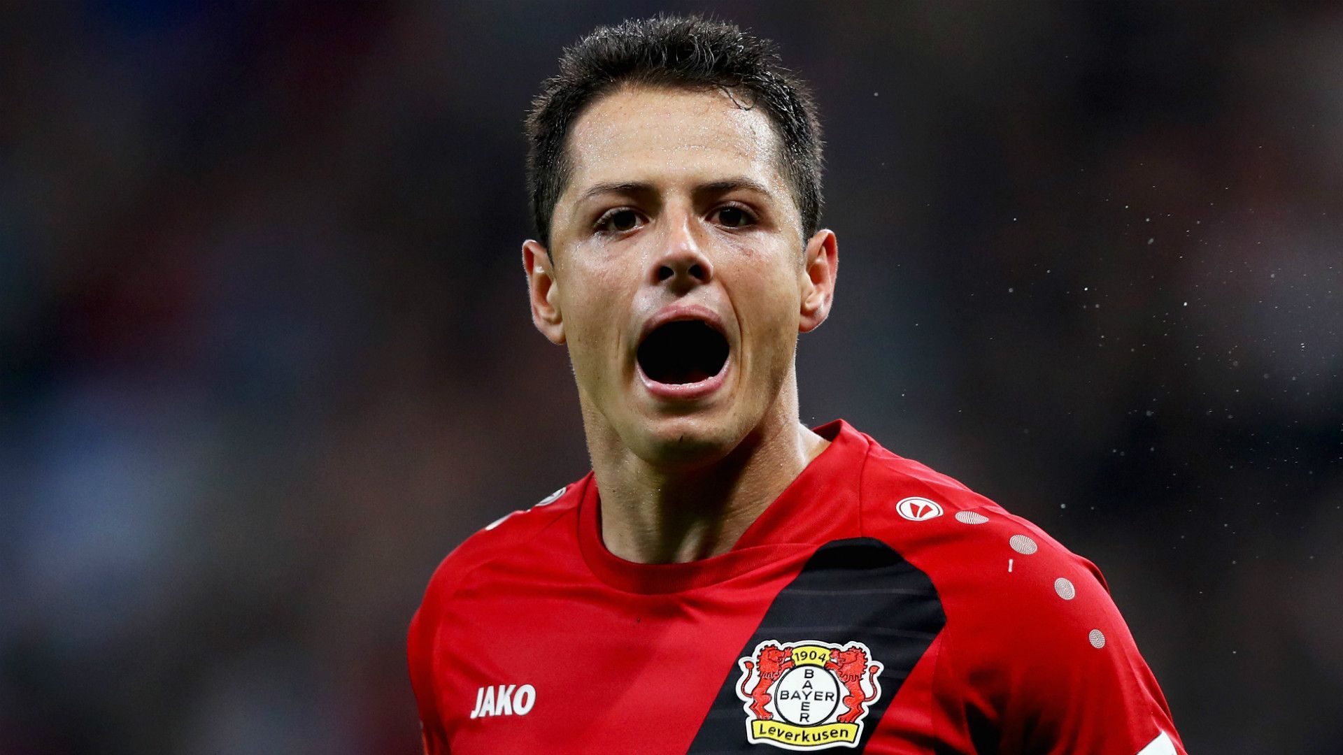 Javier Hernandez Bayer Leverkusen 2016