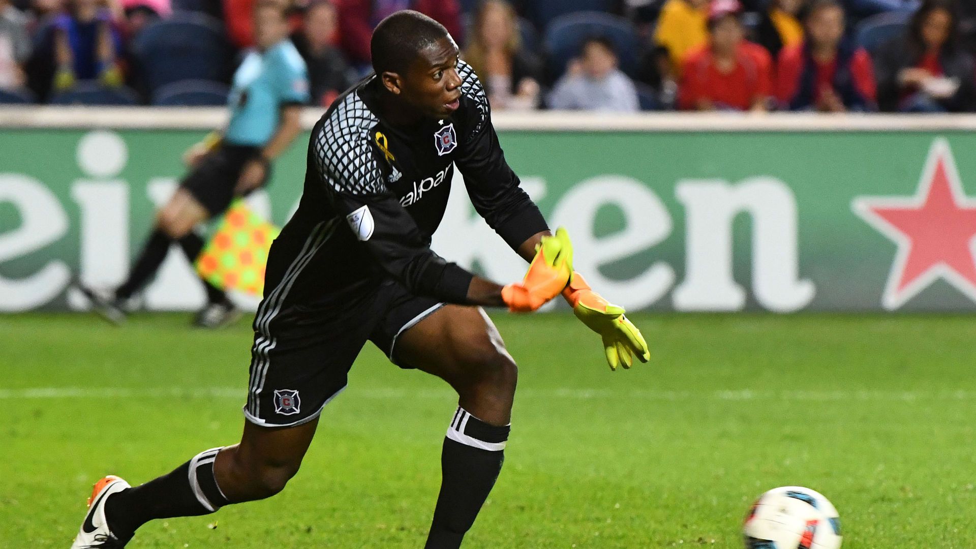 dfe86d55b38e4c9c124391efc05fdfd6d9c44bee