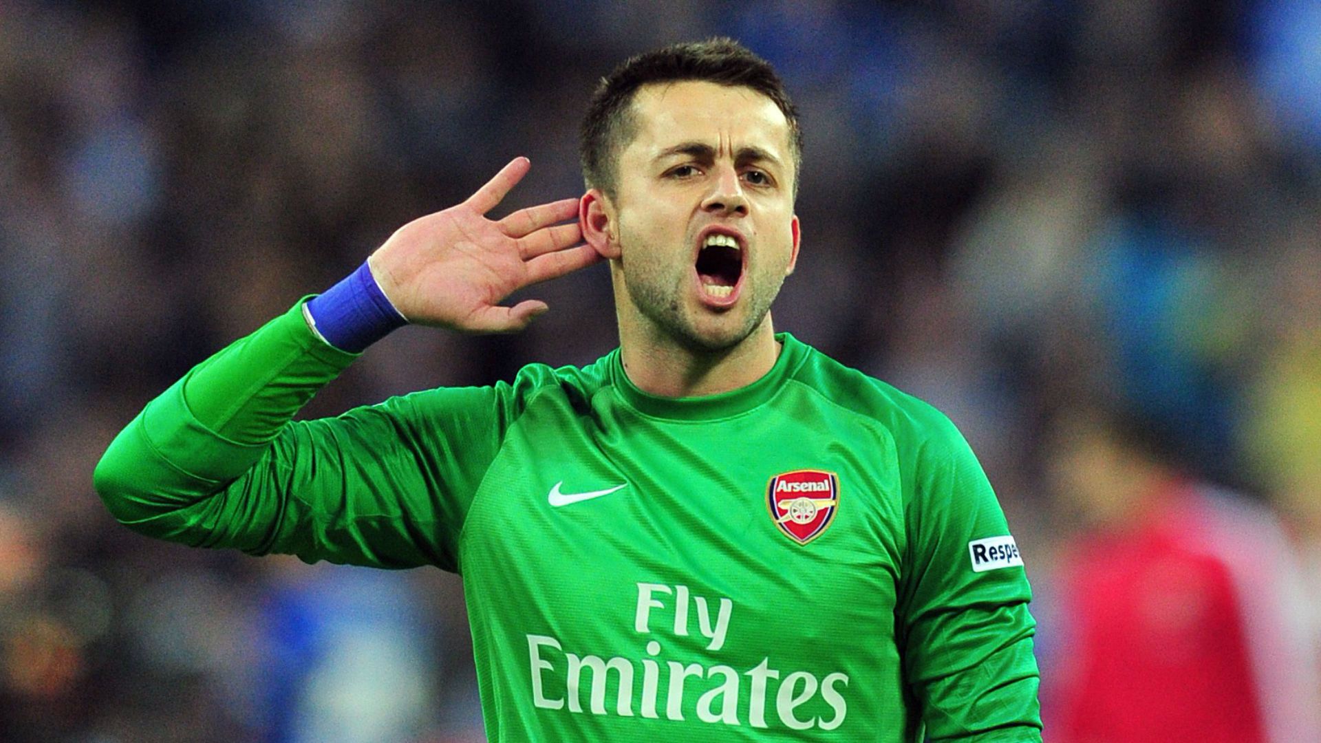 Lukasz Fabianski Arsenal