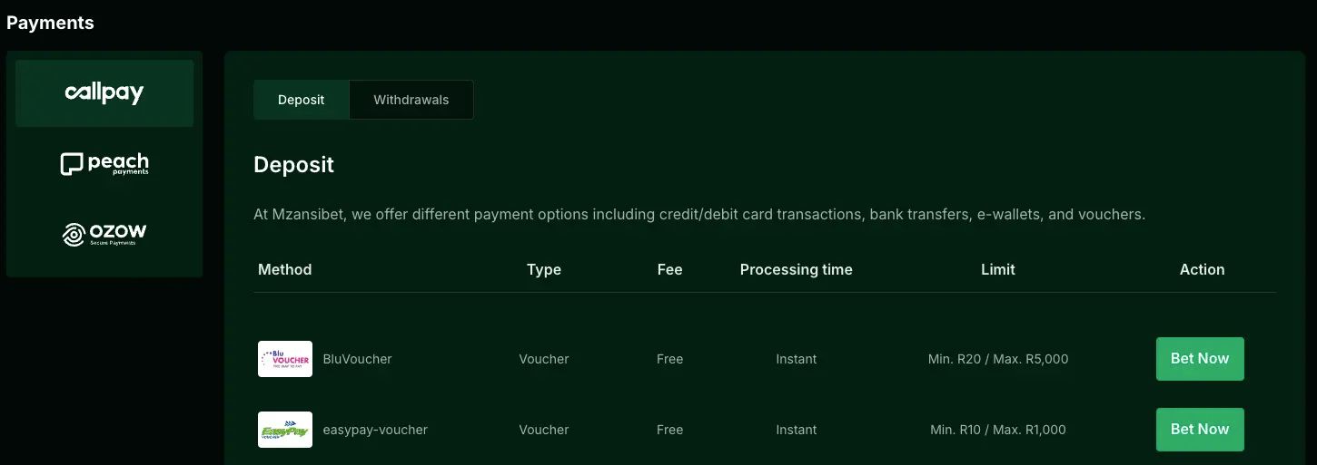MzansiBet Payments