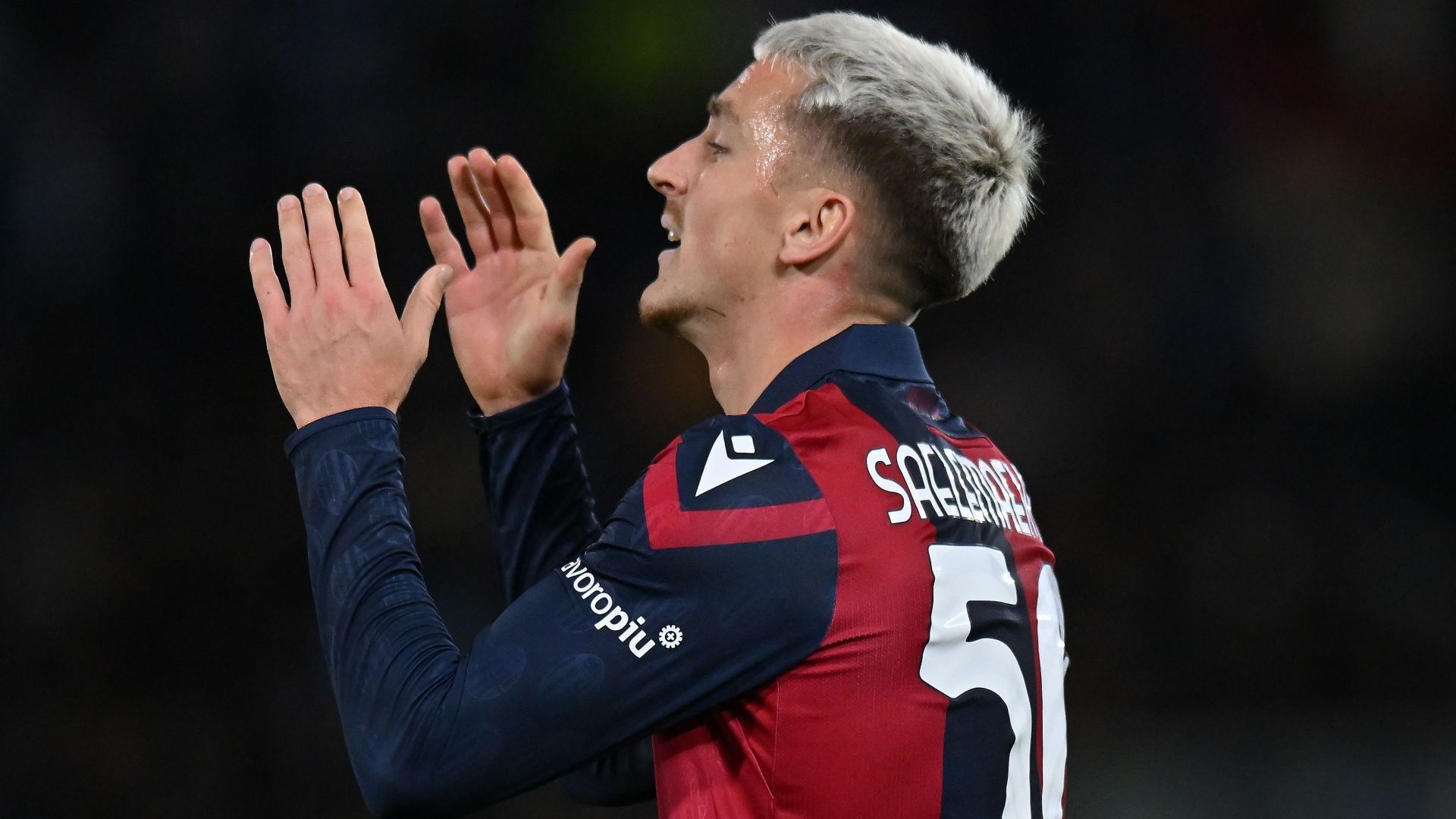 Saelemaekers Bologna