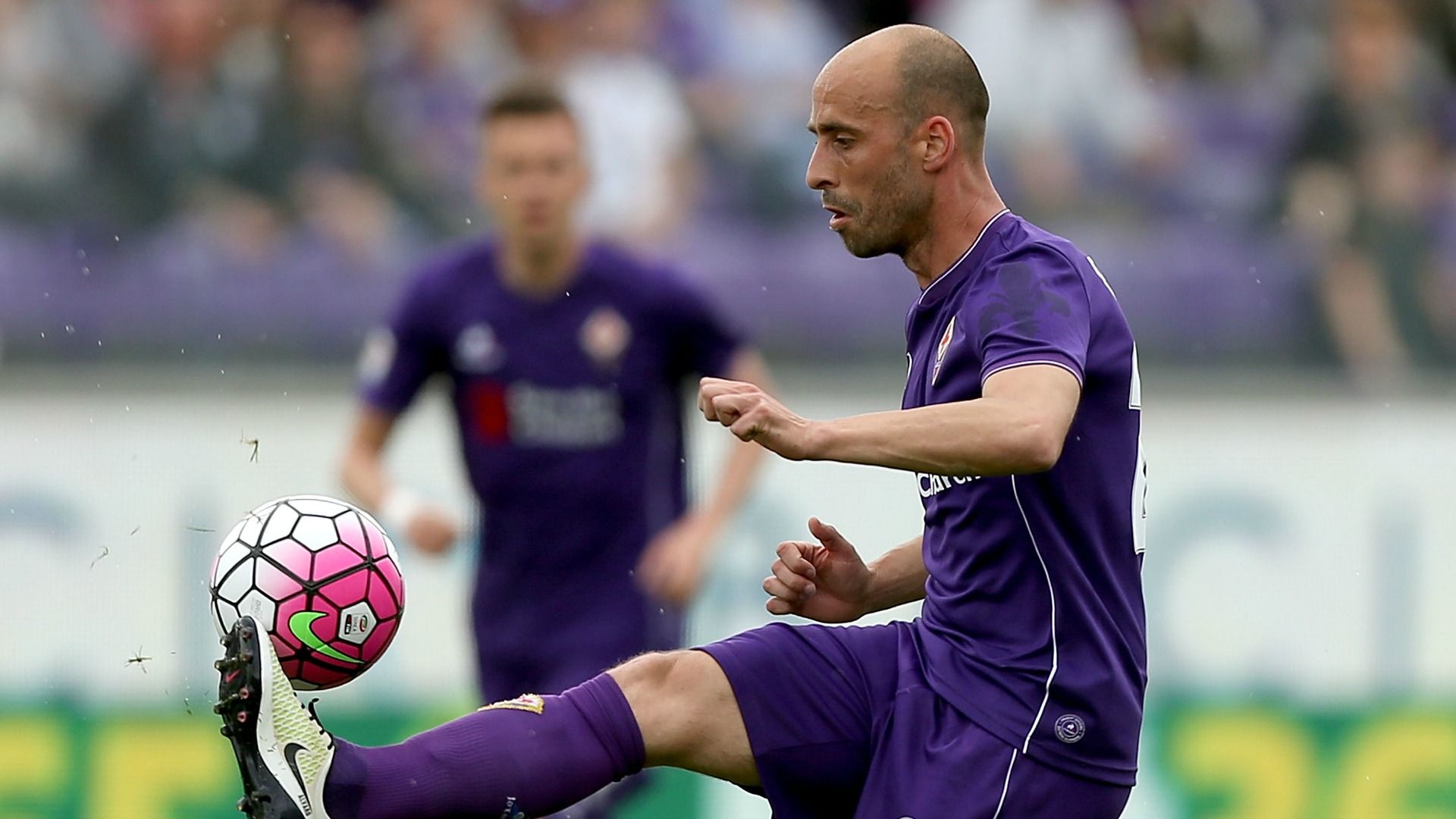 Borja Valero Fiorentina