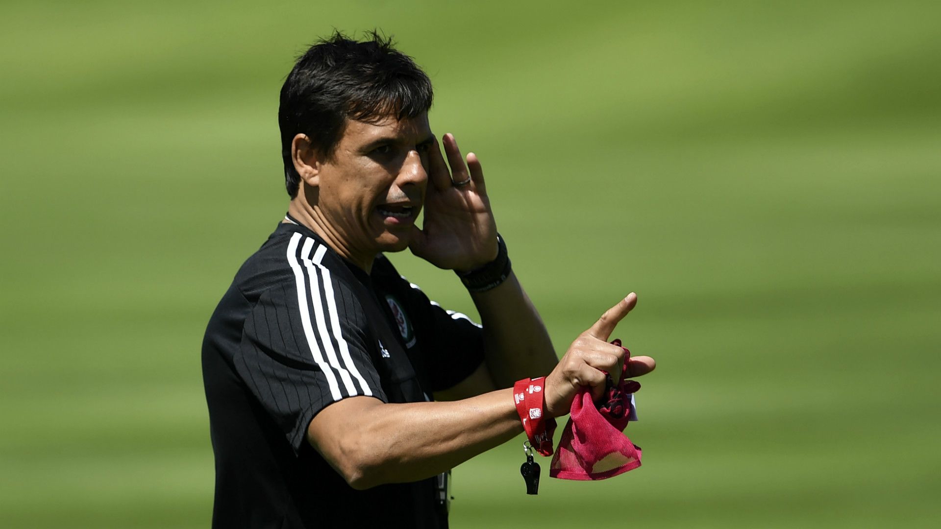 Ultimate European Championship XI | Chris Coleman