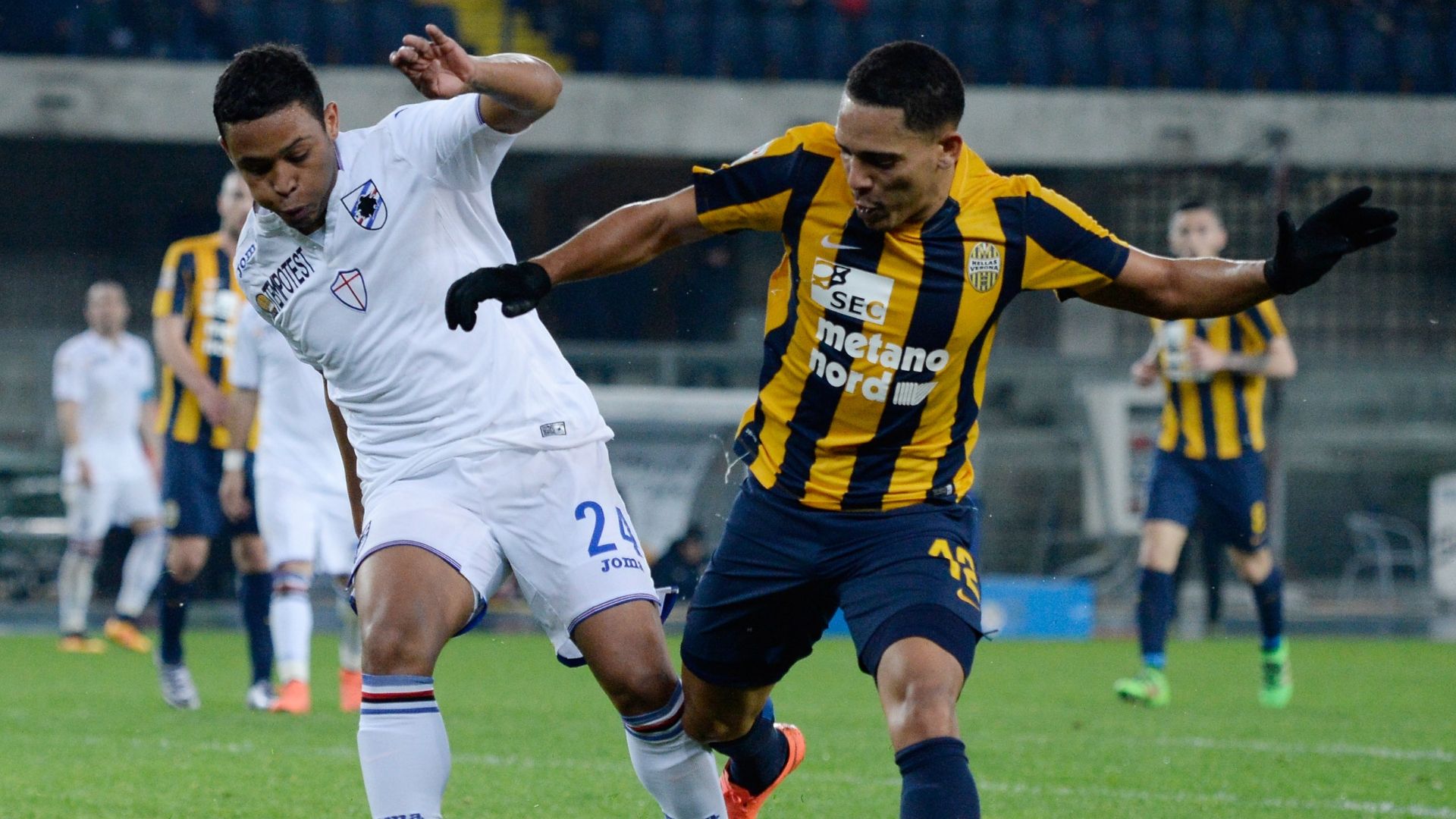 Gilberto Muriel Verona Sampdoria