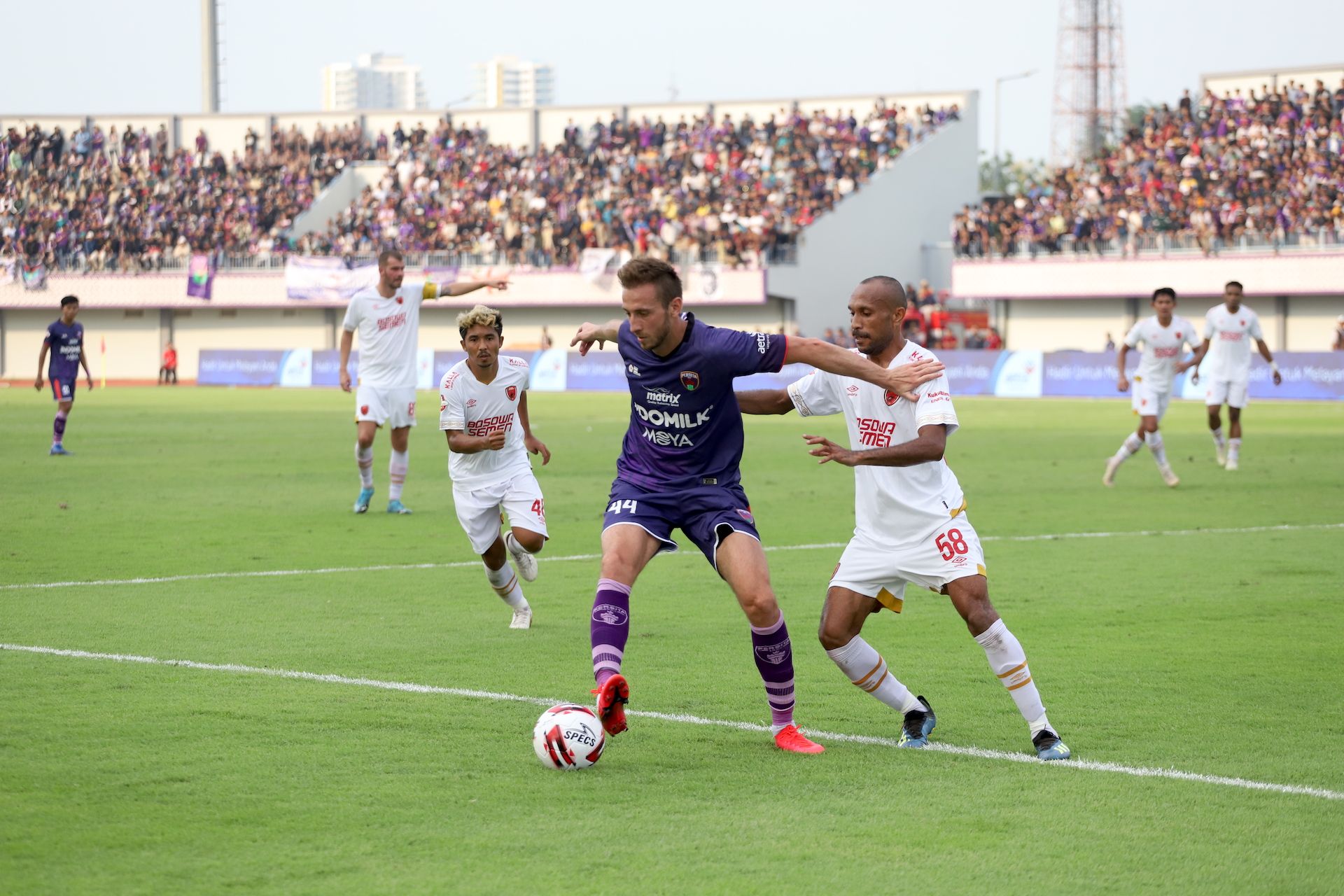 Eldar Hasanovic - Persita