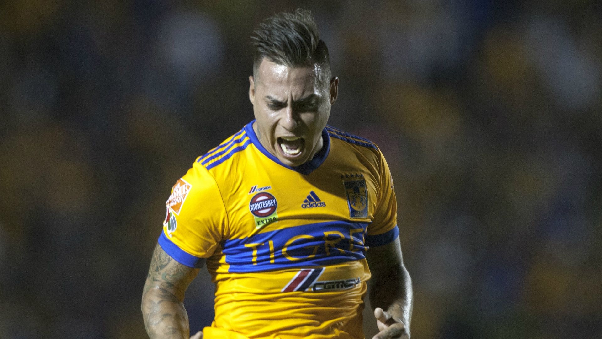 Eduardo Vargas Tigres