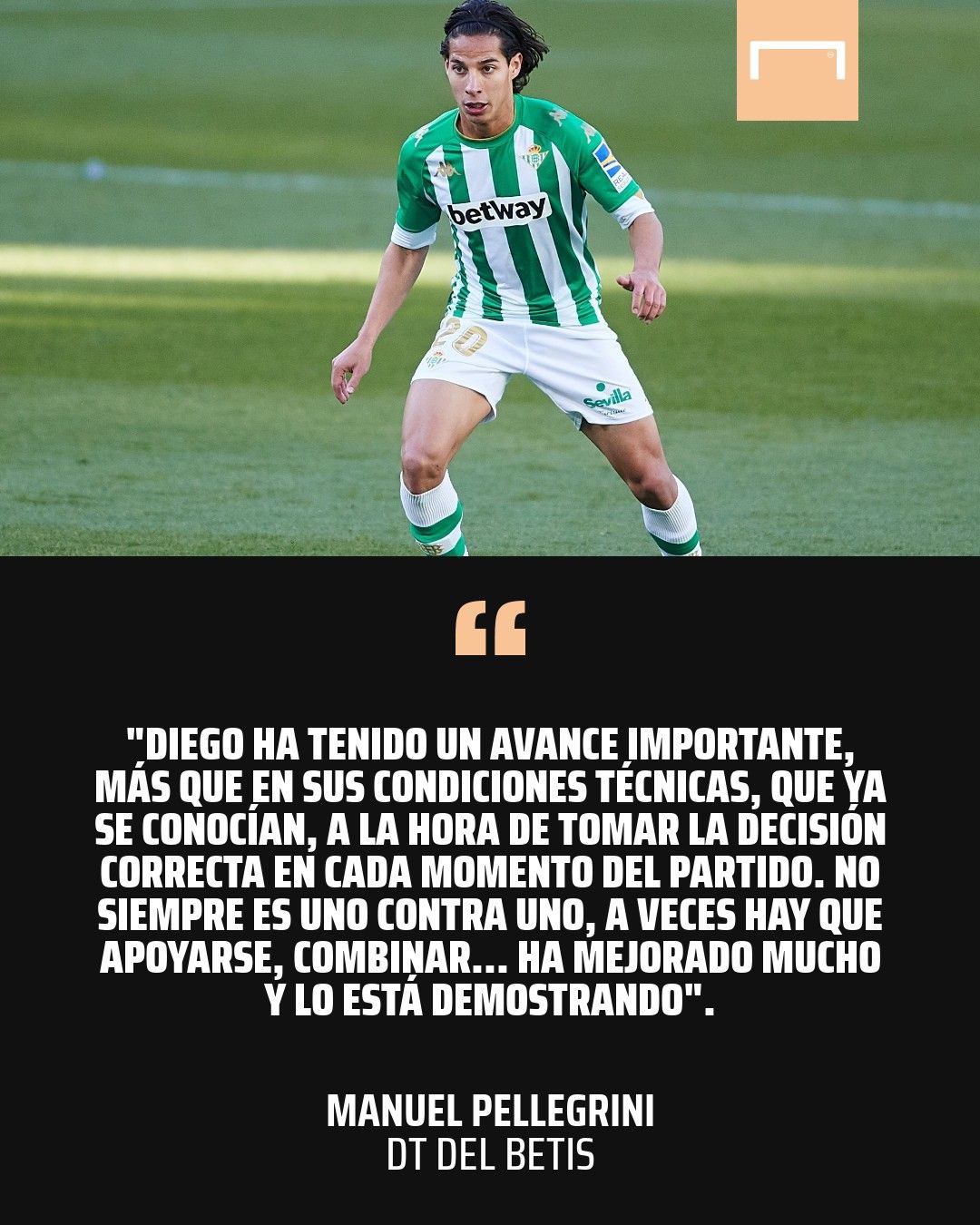 Afiche Diego Lainez