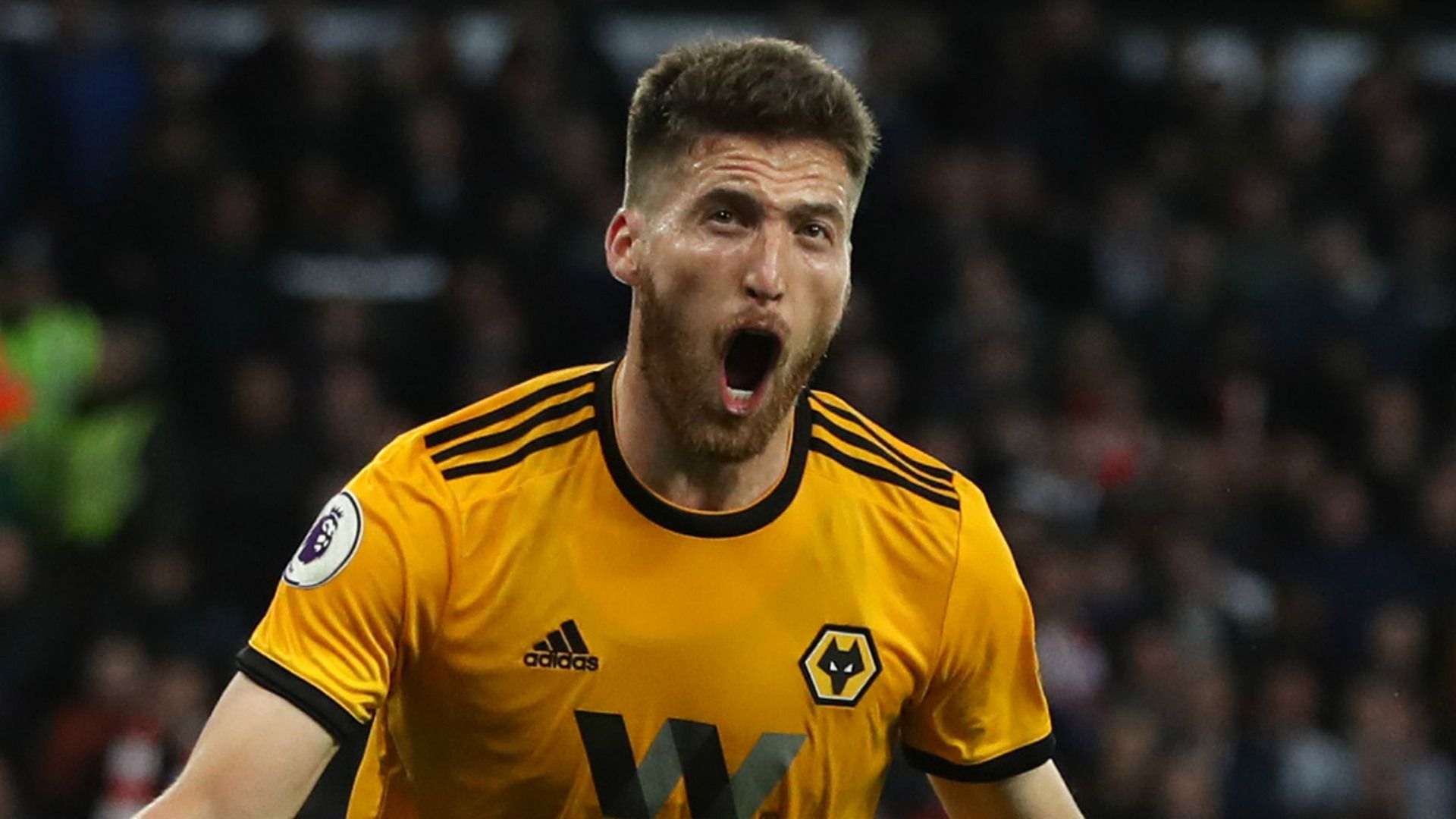 Matt Doherty Wolves 2018-19