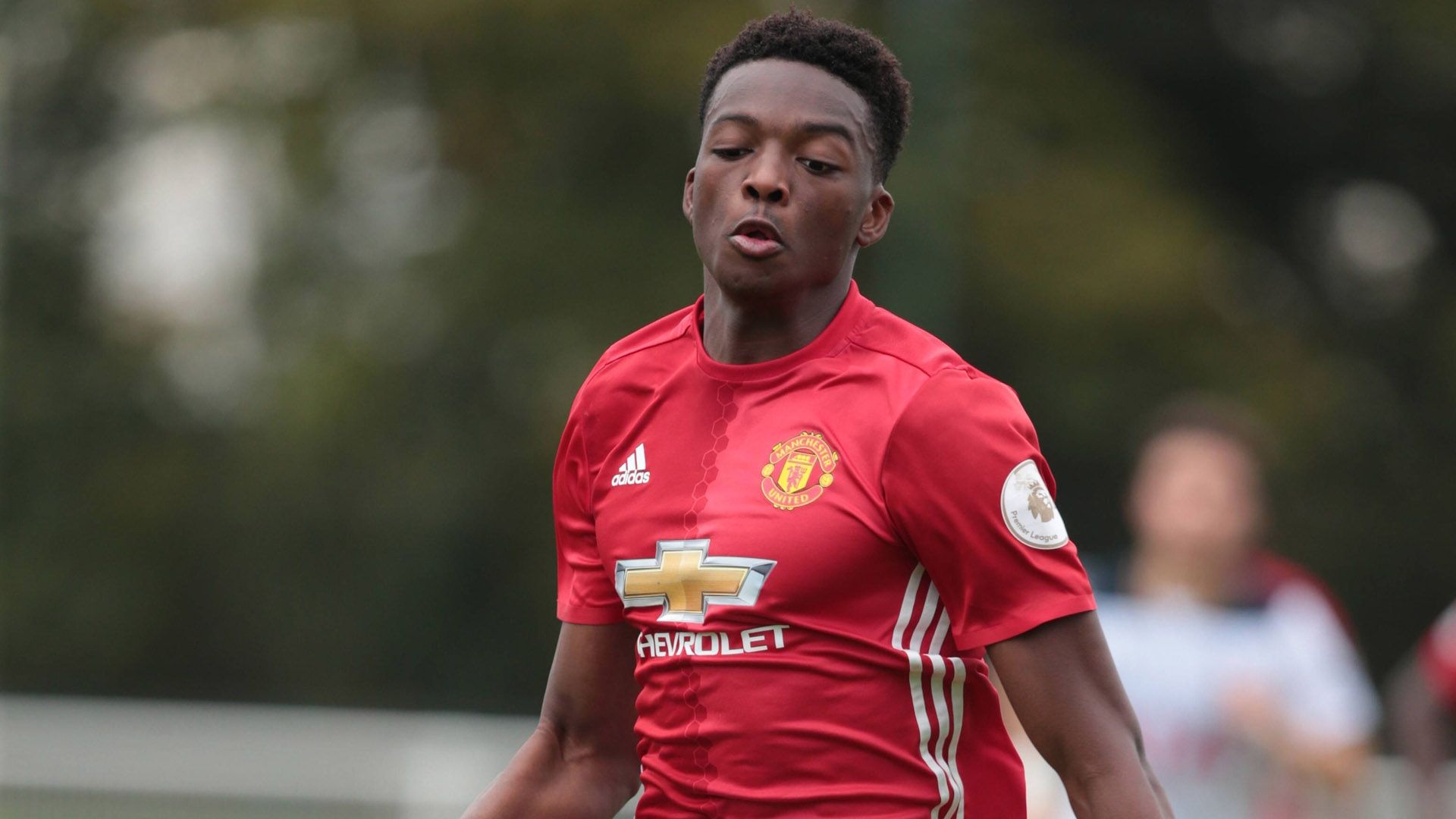 Germany ONLY_Chris Willock