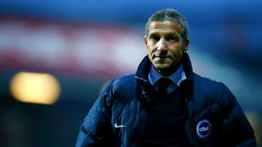 Chris Hughton Brighton