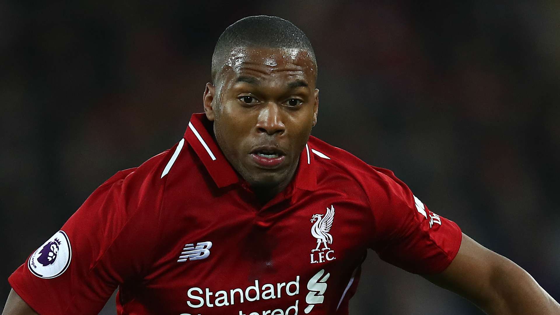 Daniel Sturridge Liverpool 2018-19