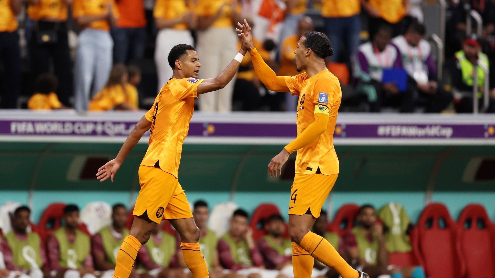 Cody Gakpo Virgil Van Dijk Netherlands