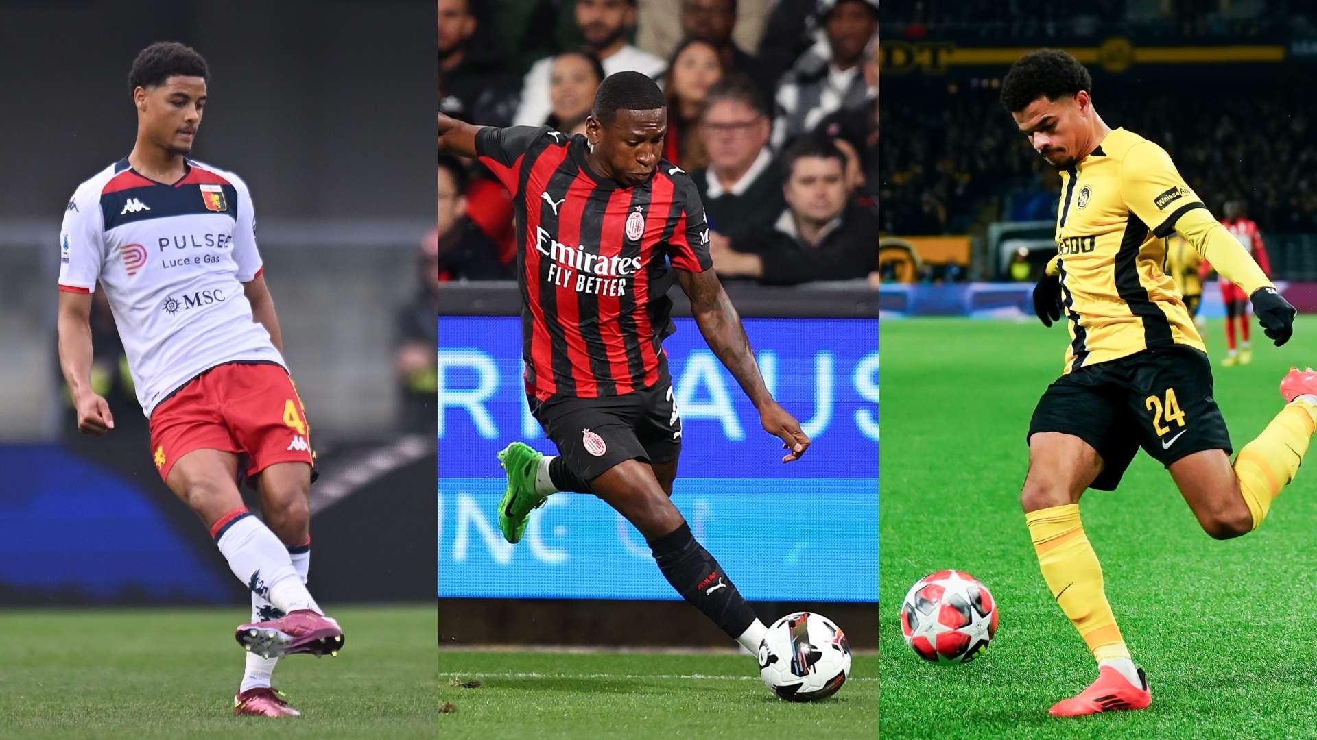 de winter estupinan Athekame