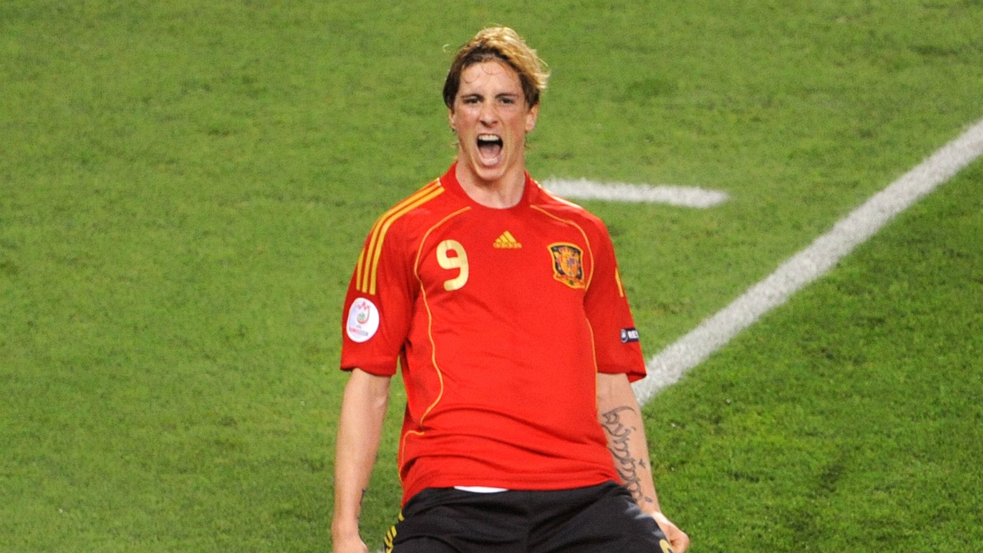 Fernando Torres Spain