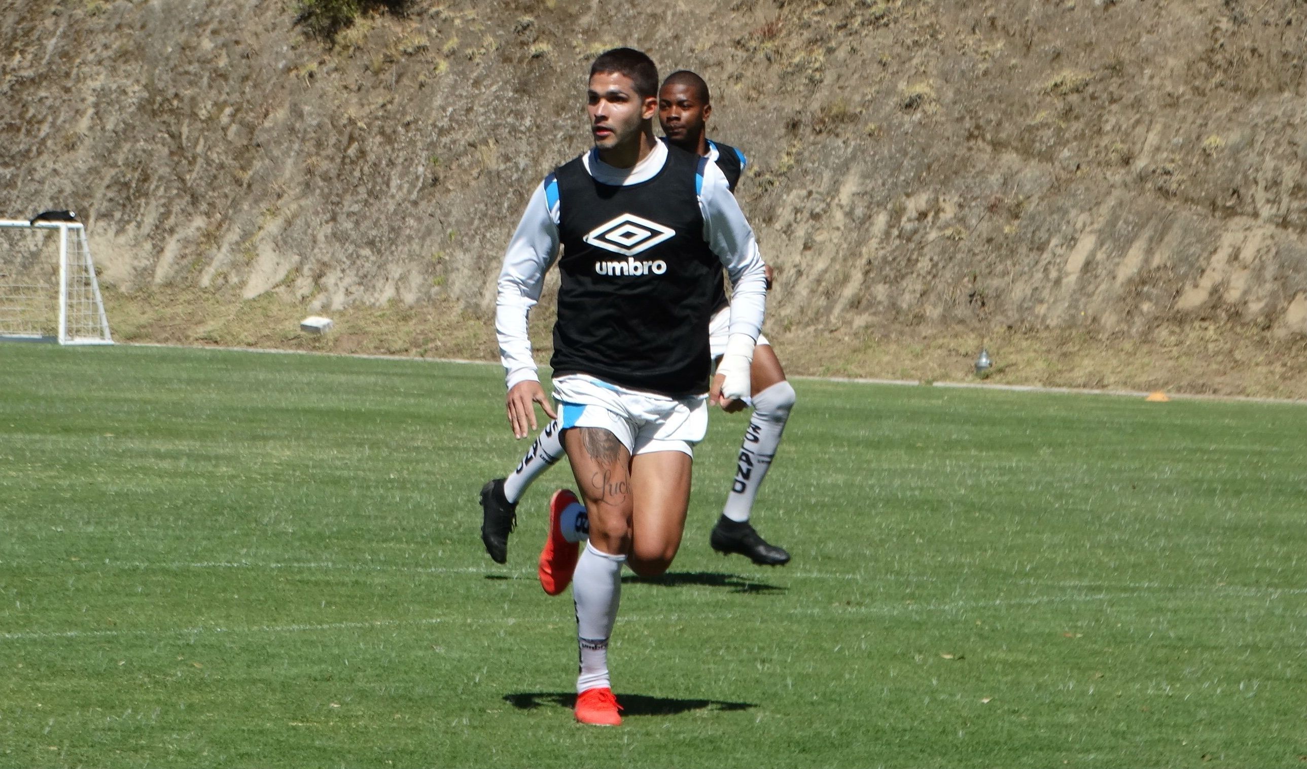 Totin Amarilla (Paraguay) 28-11-19