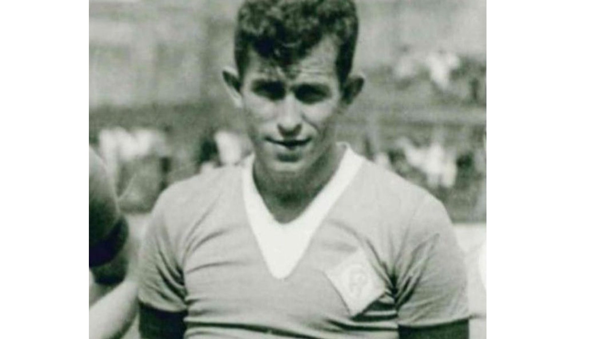 Só para galeria Bengala Cruzeiro