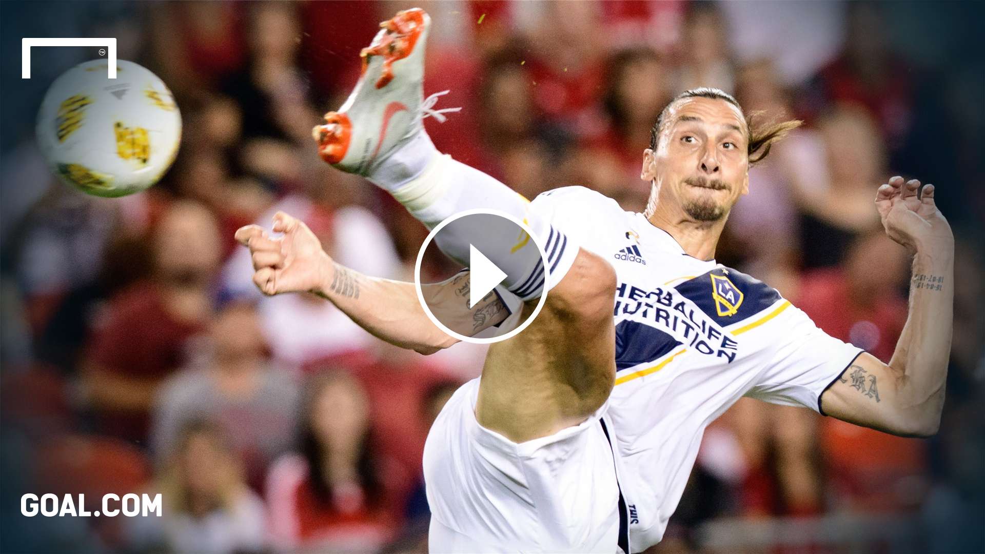 Zlatan Goal Toronto