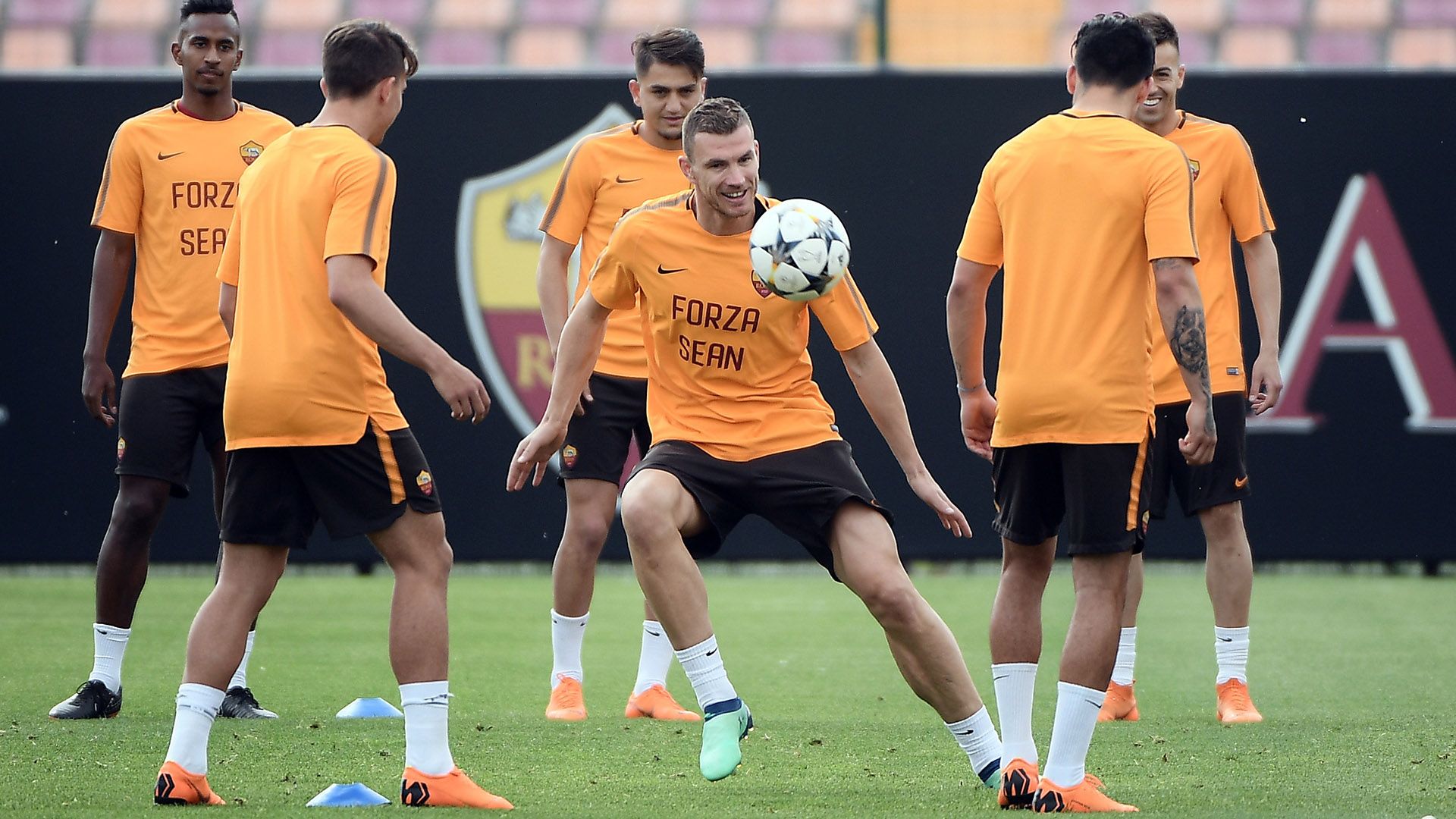 Roma training