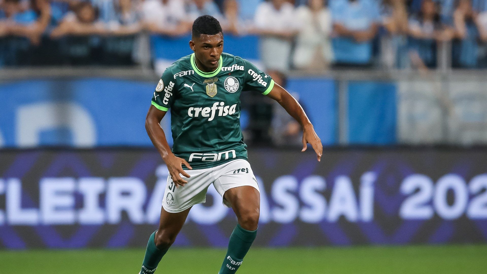 Luis Guilherme Palmeiras