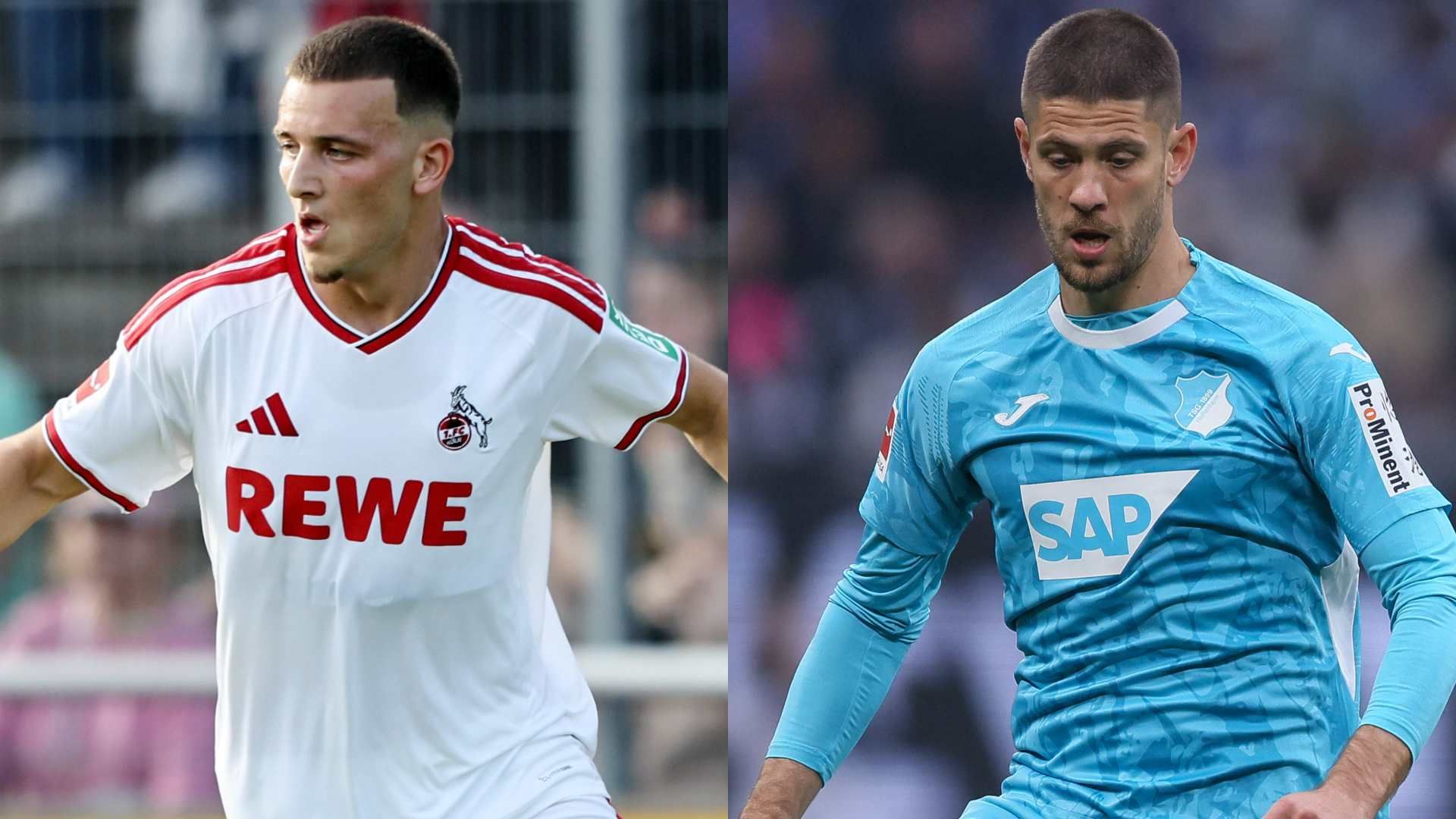 koln hoffenheim