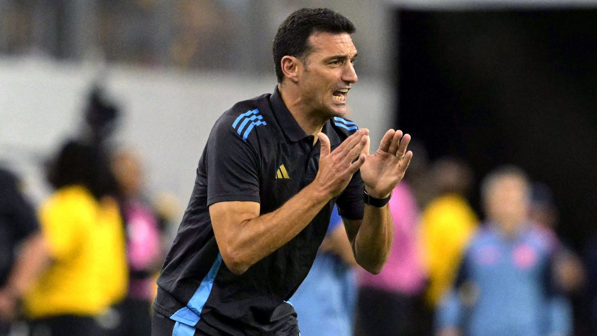 Lionel Scaloni Argentina 2024