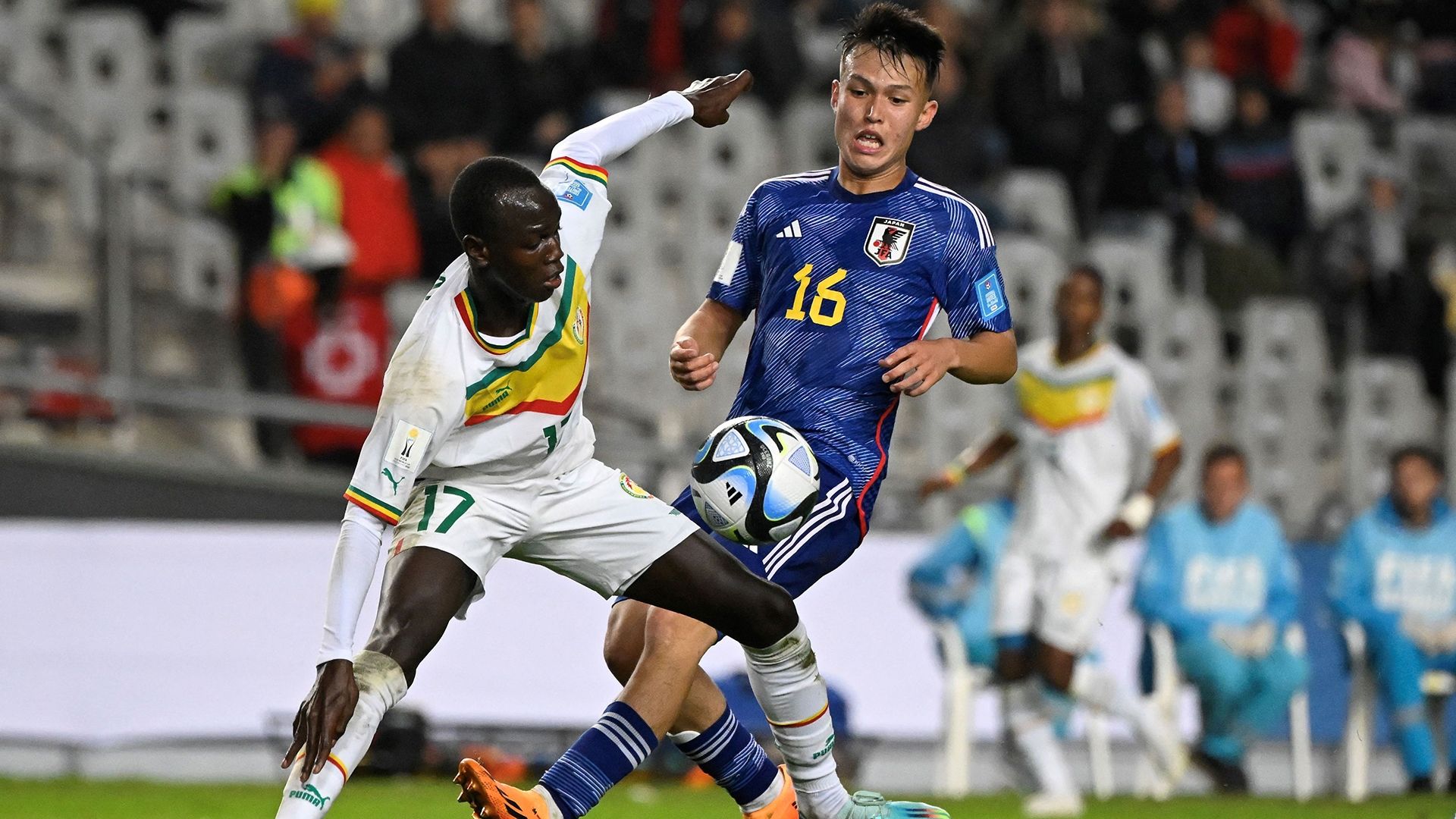 20230523_Nico_Takahashi