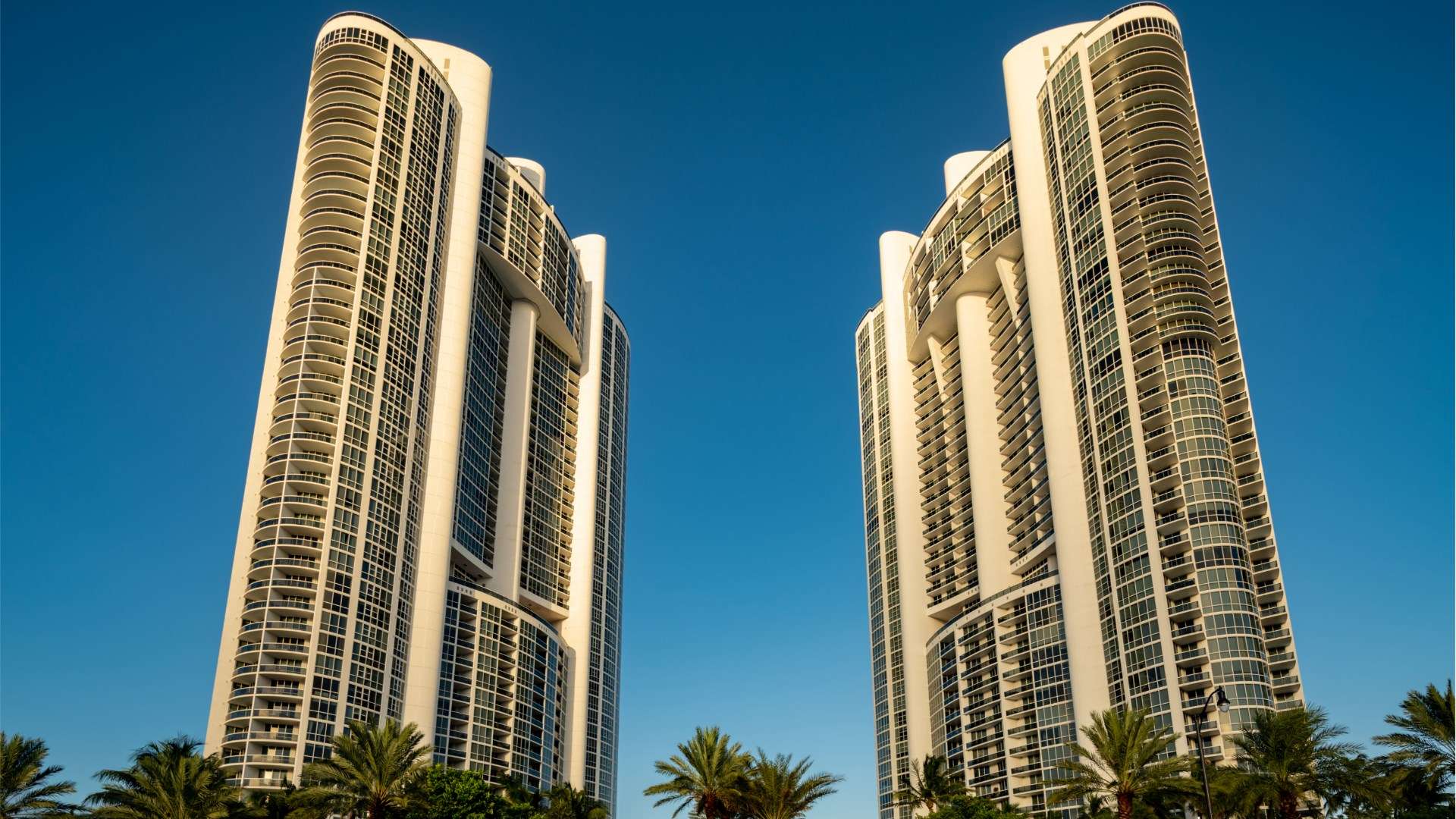 ONLY GERMANY Trump Royale