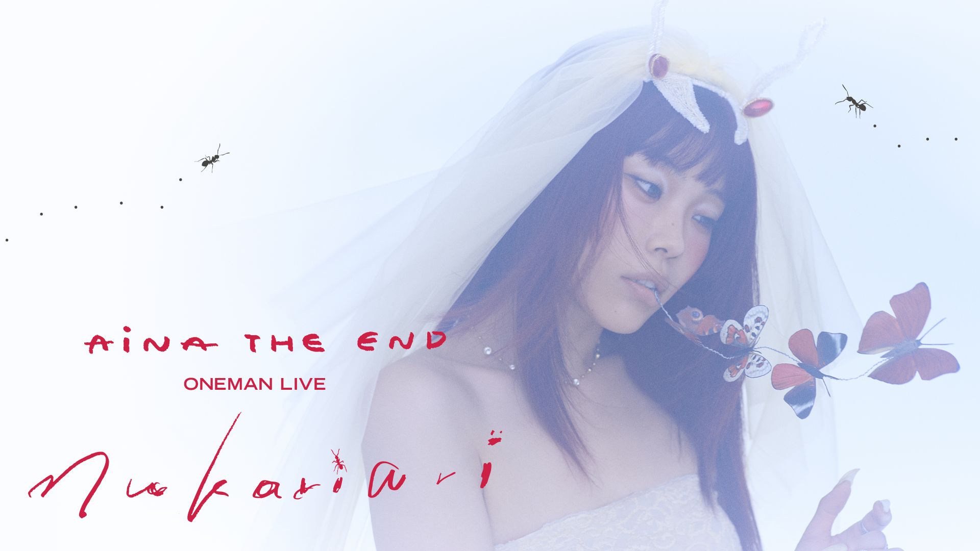 AiNA THE END ONE MAN LIVE " nukariari "