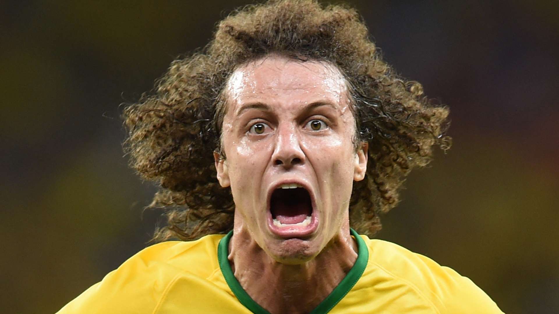 David Luiz, Brazil, 2014