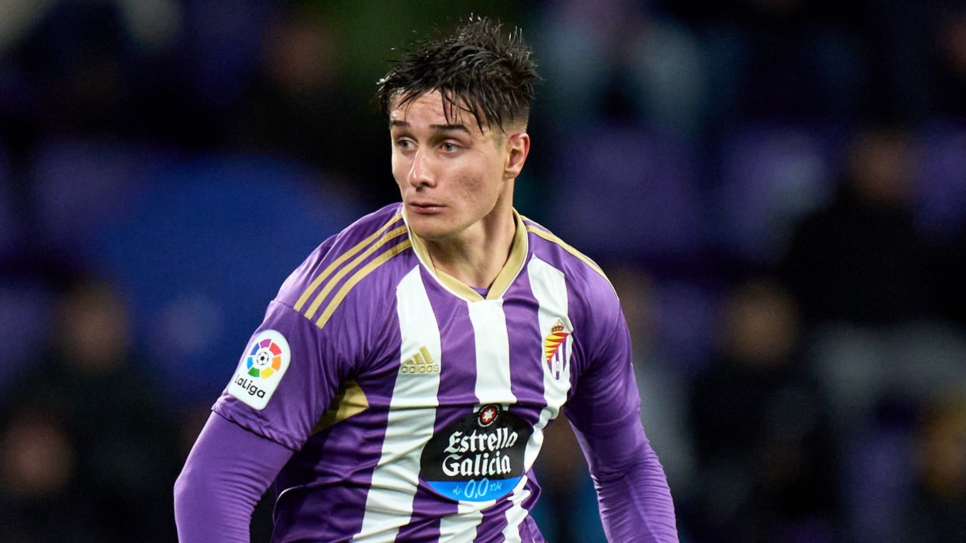 Fresneda Real Valladolid