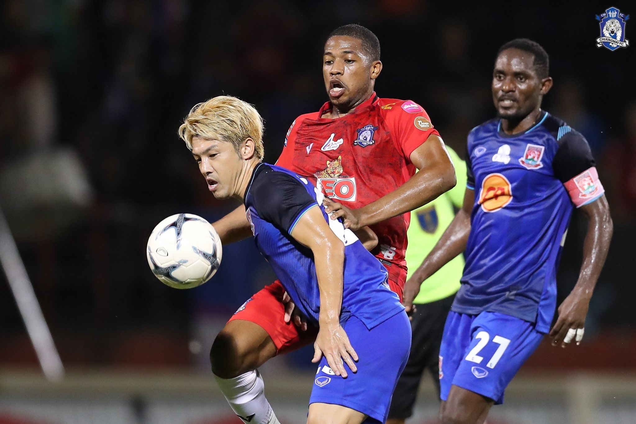 เชียงใหม่ - ตราด : 2019