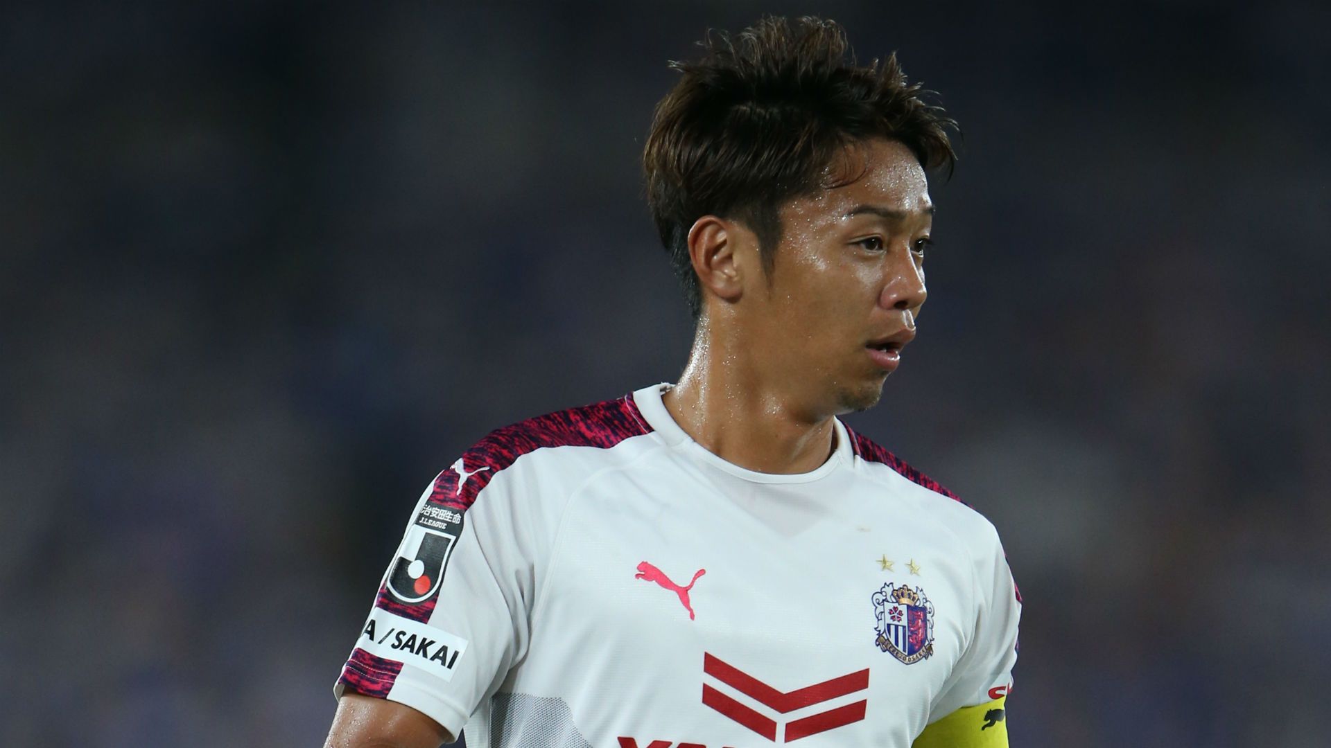 cerezo04.jpg
