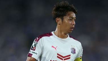 cerezo04.jpg