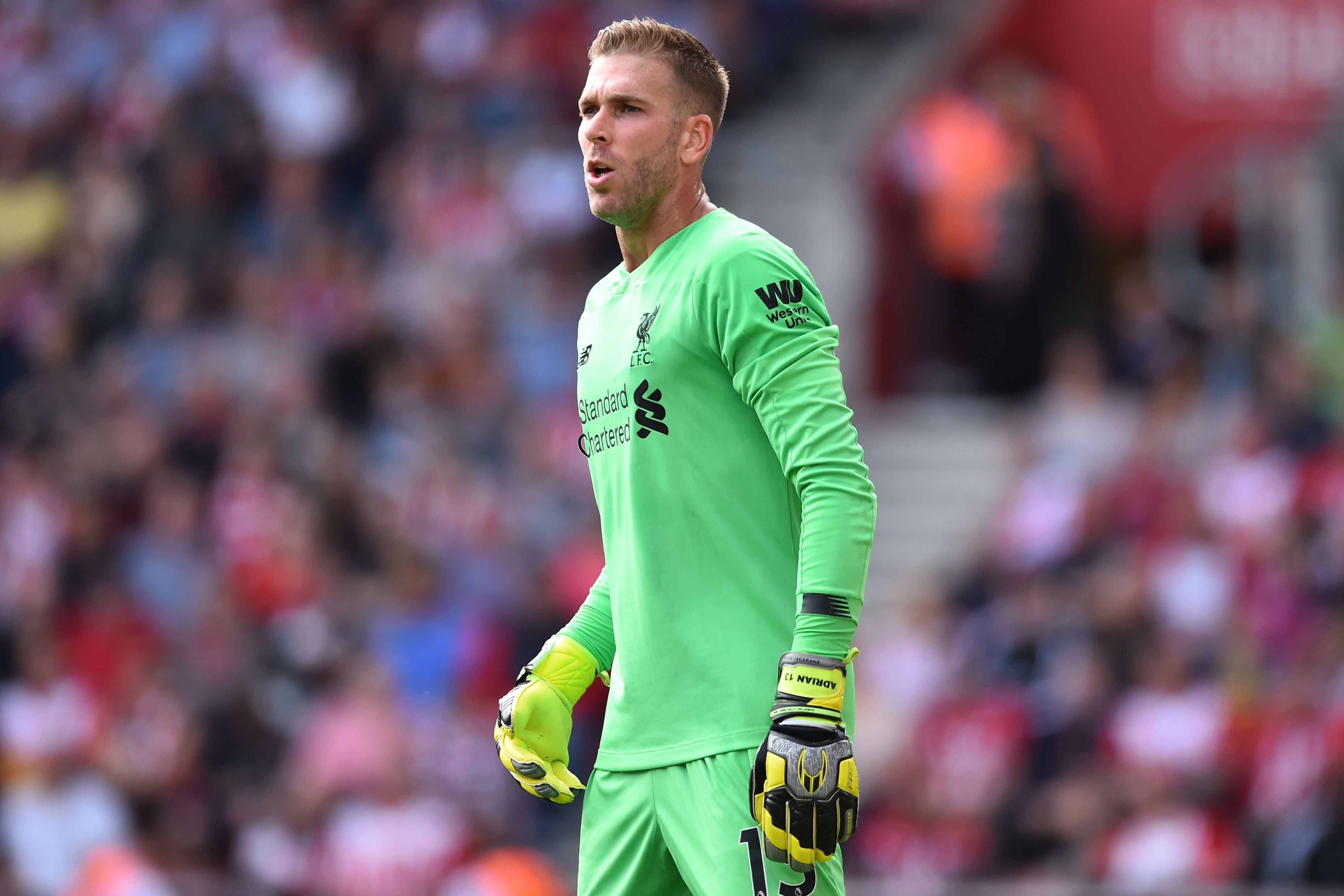 Adrian vs Southamton