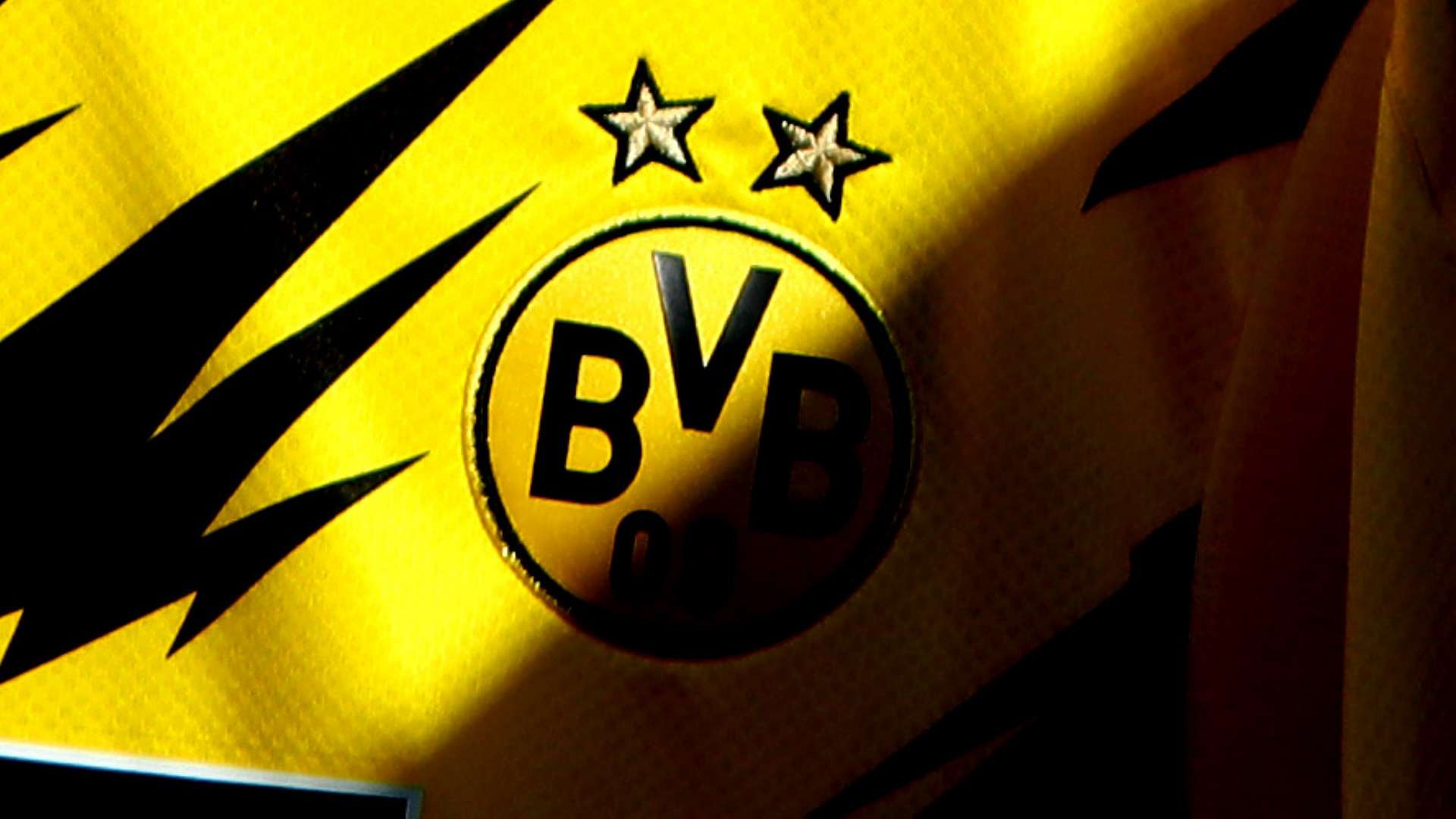 BVB logo