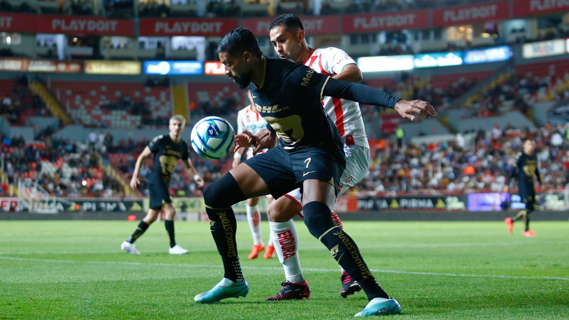 Necaxa Pumas Clausura 2023 Liga MX