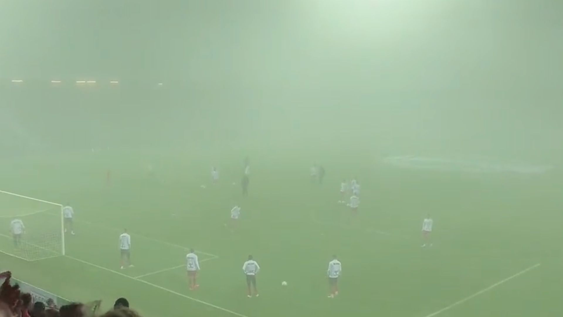 nebbia Slovacko Colonia