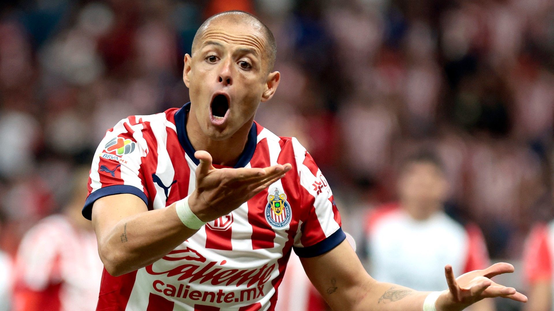Chicharito Hernández Chivas Apertura 2024
