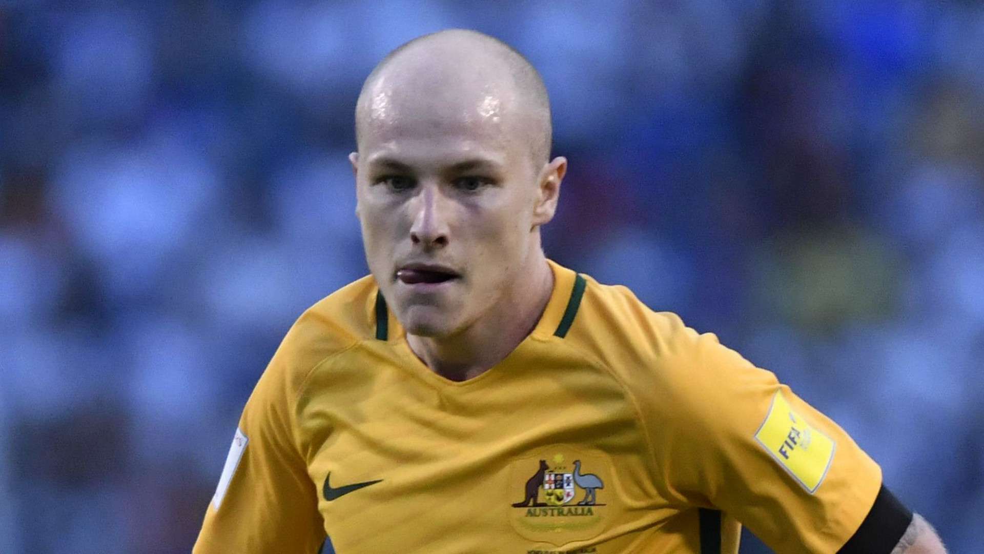 Aaron Mooy Australia