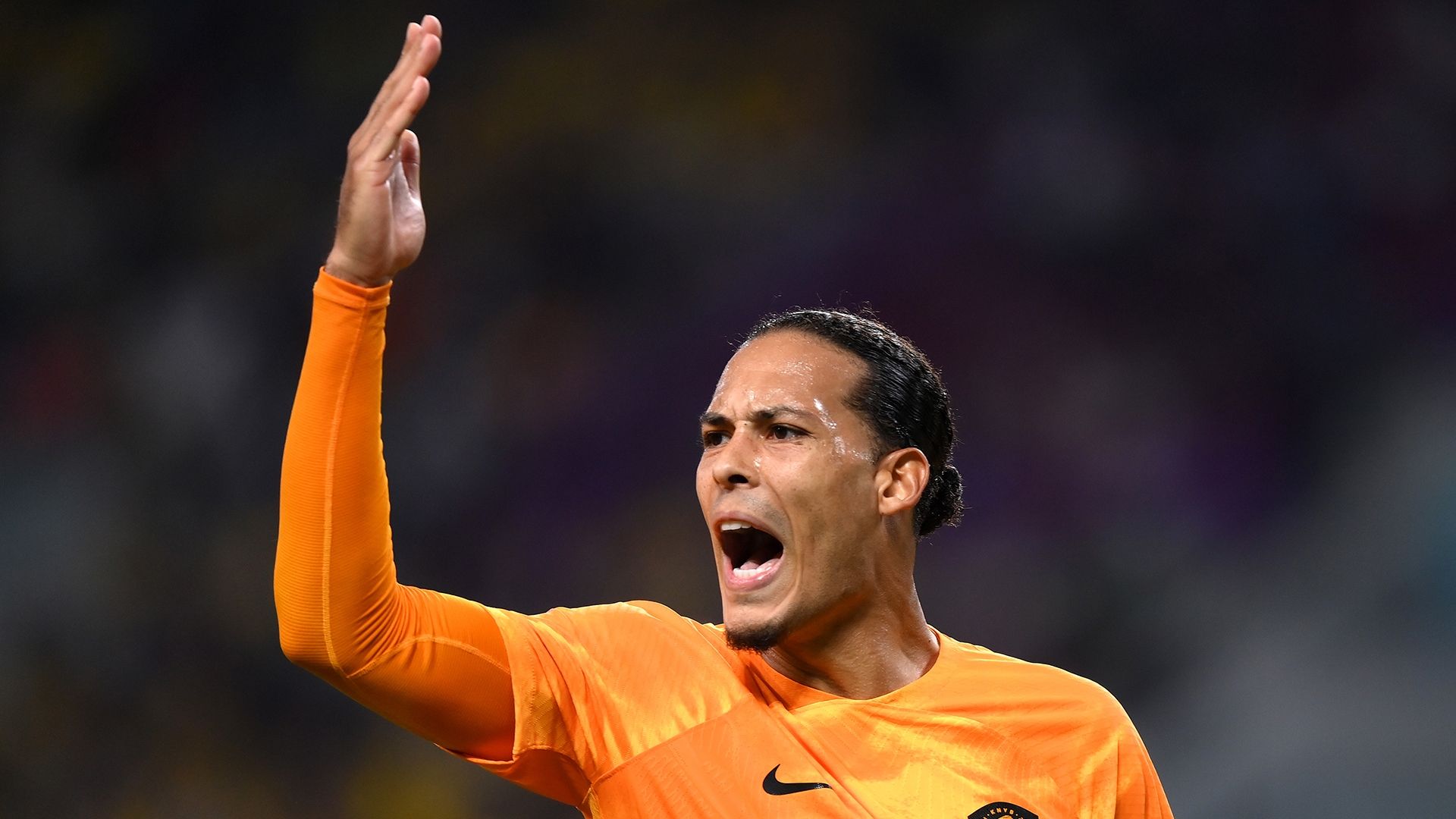 Virgil van Dijk World Cup