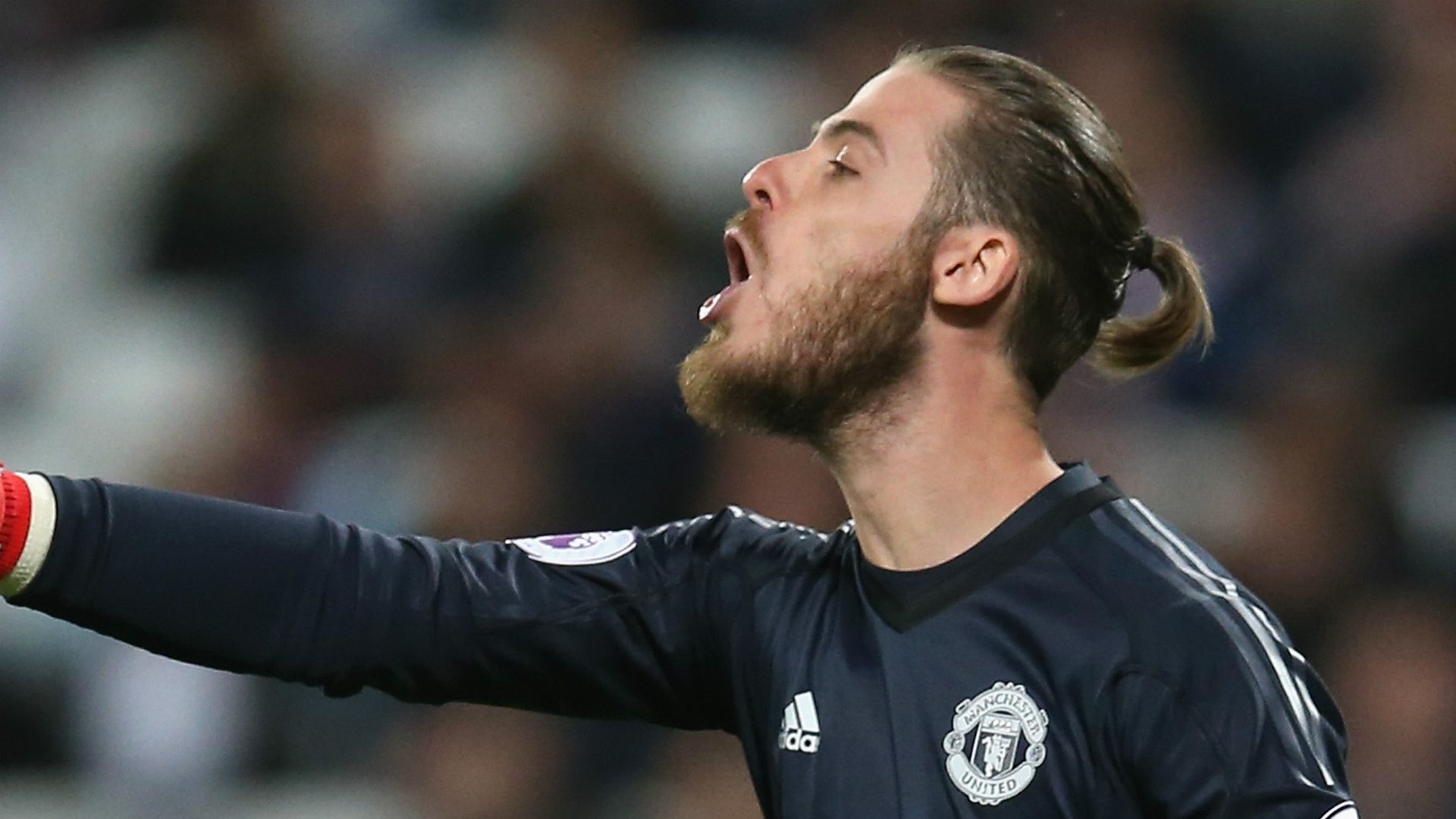 David de Gea Manchester United