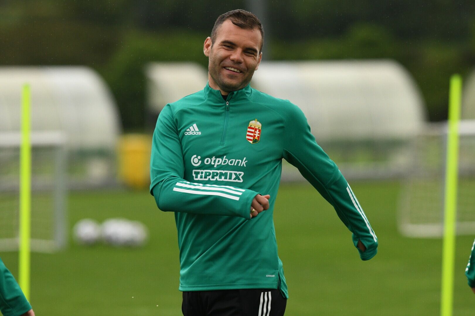 Nikolics Nemanja