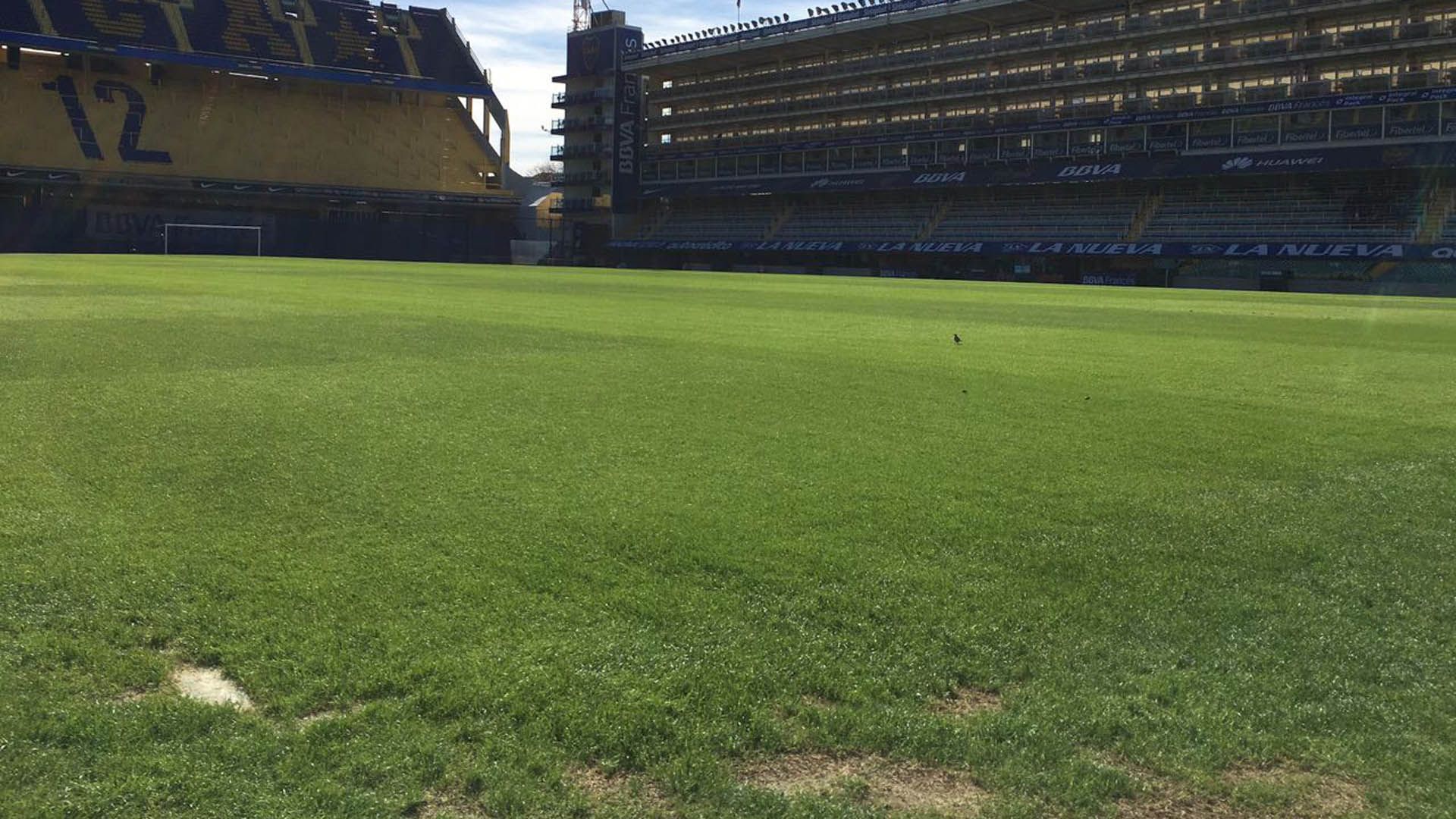 Bombonera Boca Cesped 100517