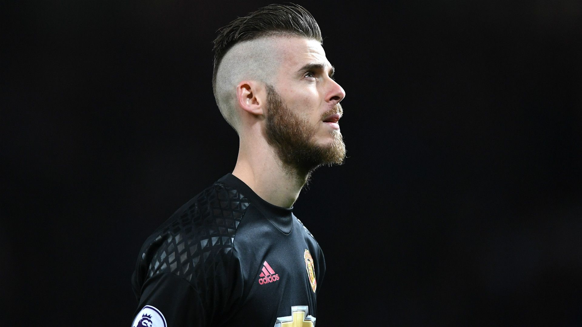 david de gea - cropped