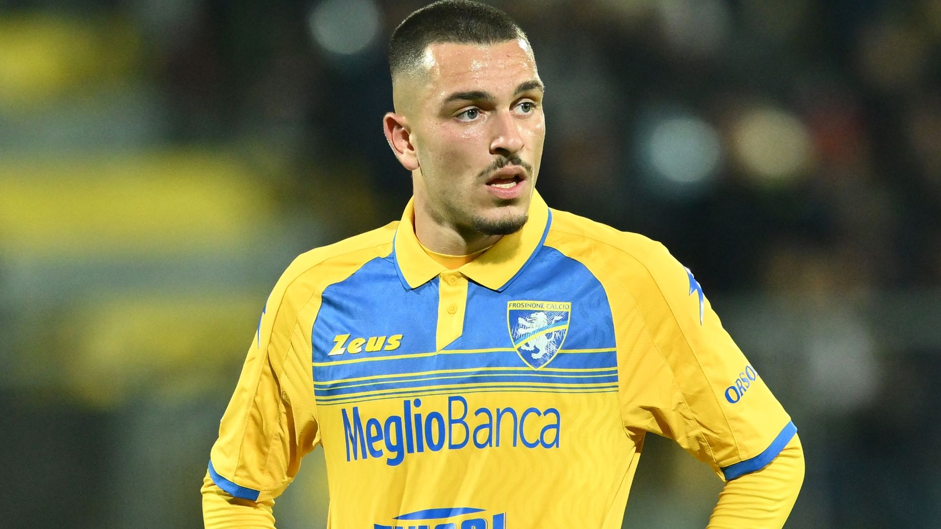 Ibrahimovic Frosinone