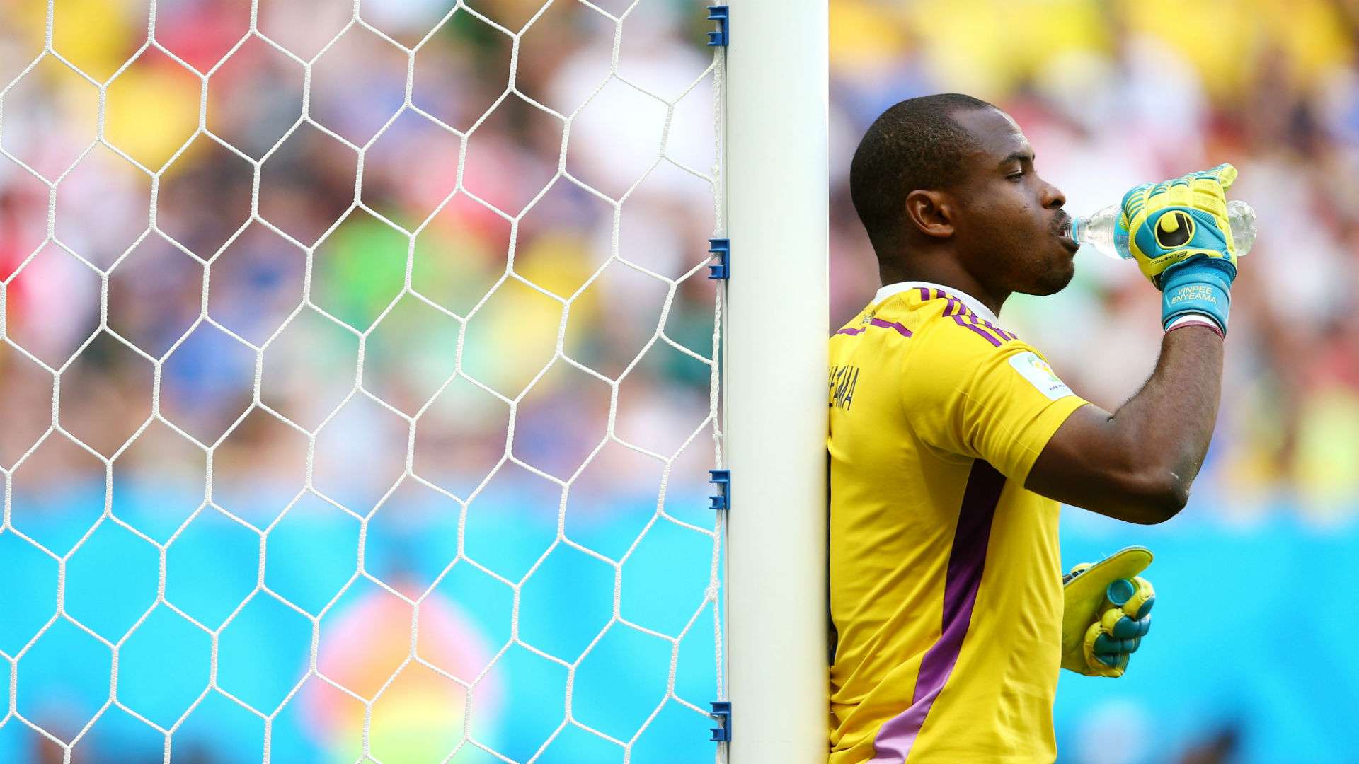 Nigeria's Vincent Enyeama - 2014 World Cup