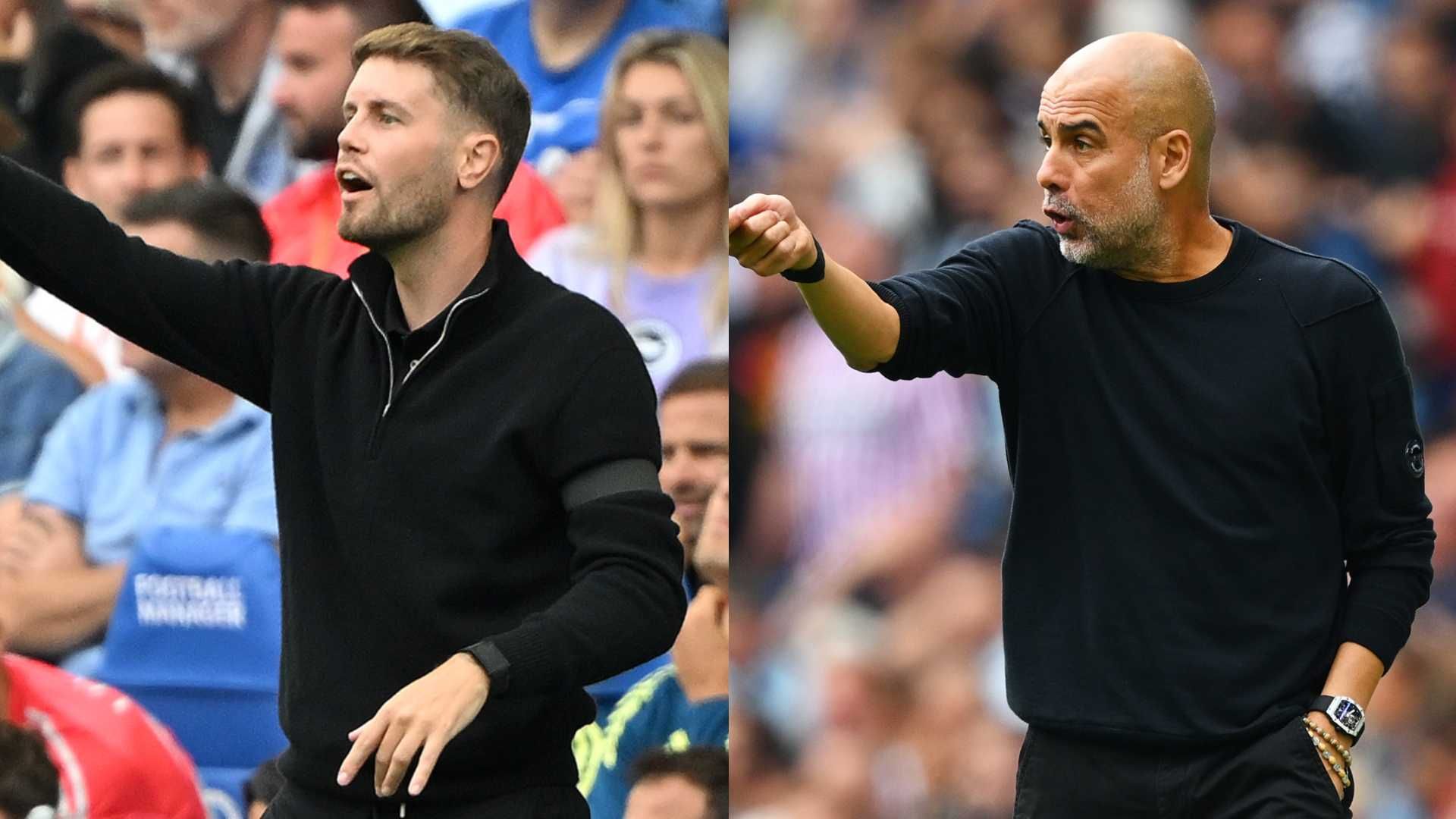 brighton manchester city