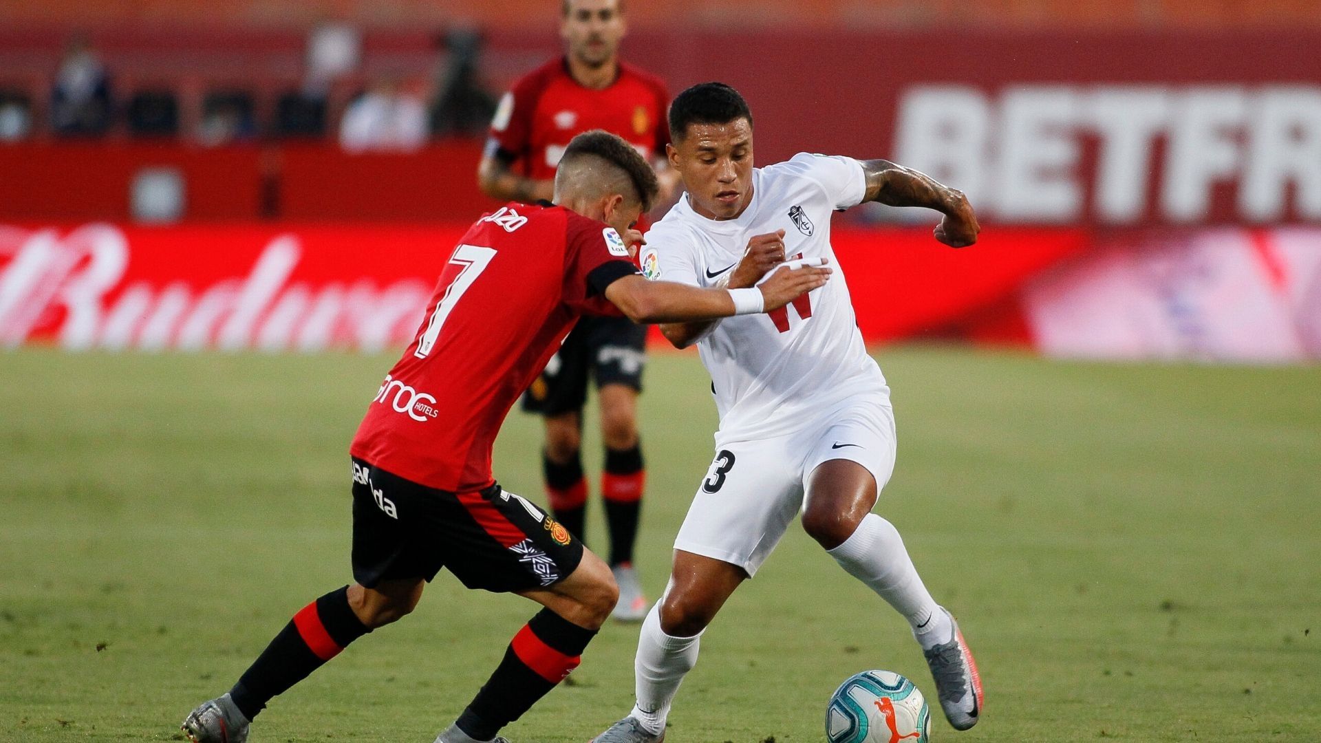 Mallorca Granada Pozo