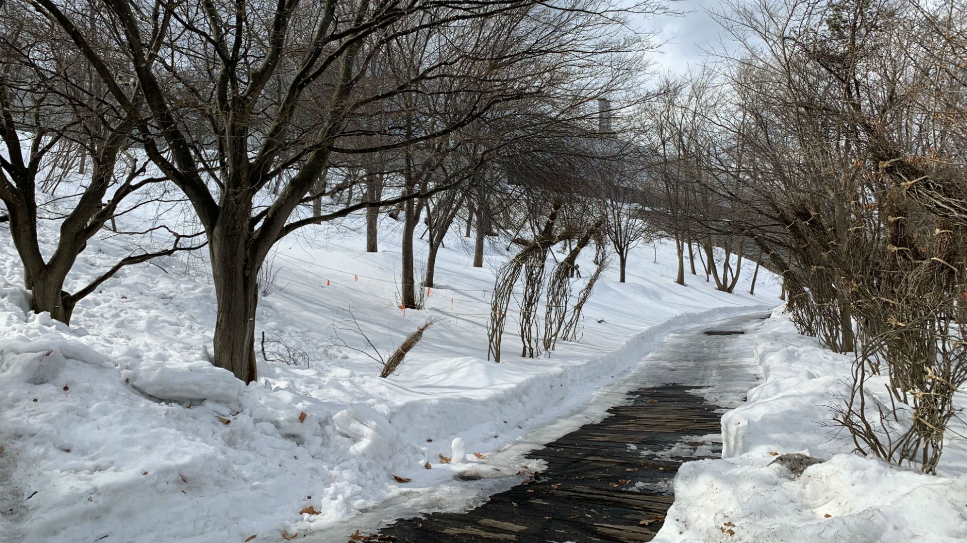 2019-03-11-harahiromi